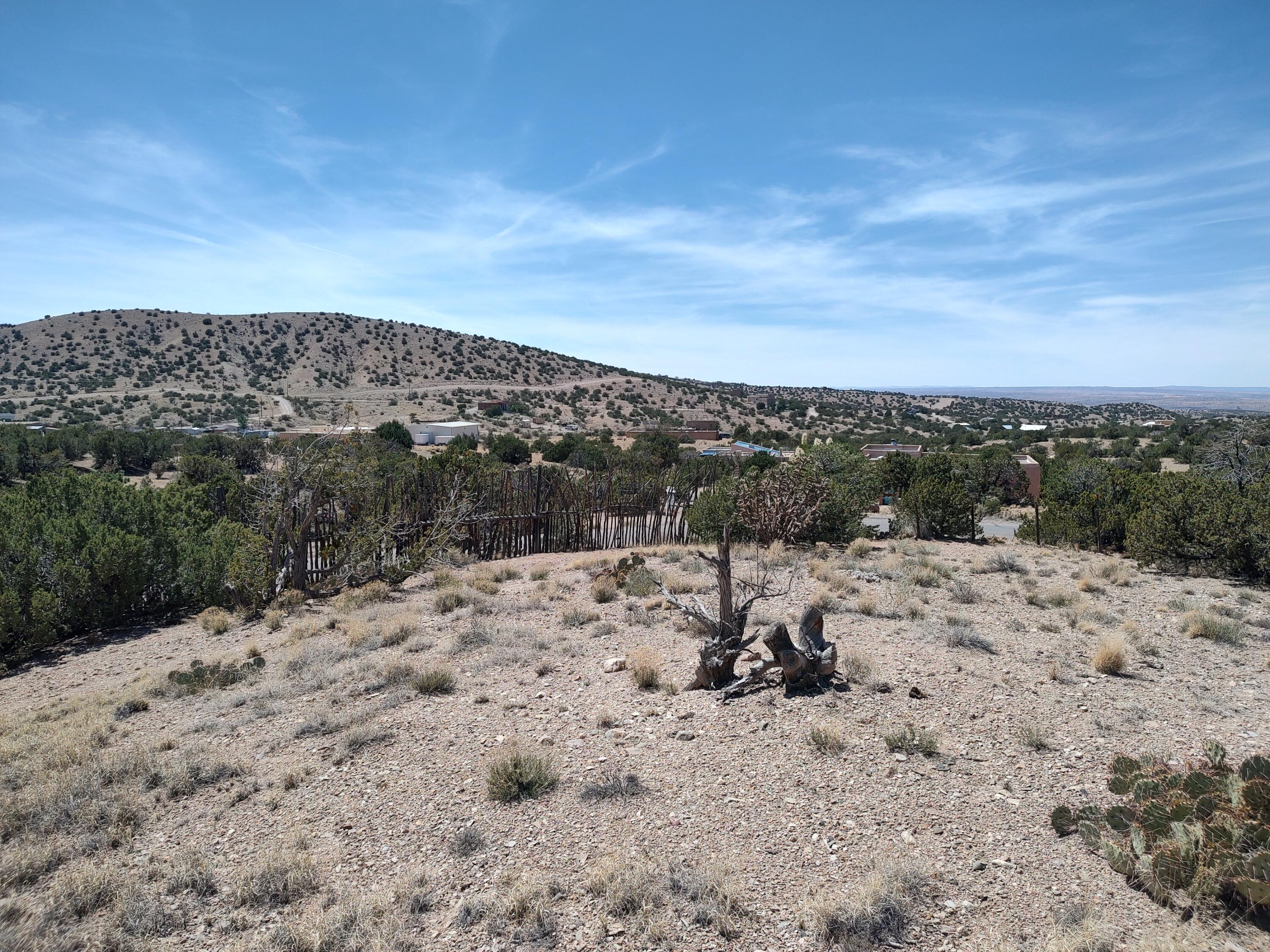 Photo 10 —  Camino De Las Huertas
