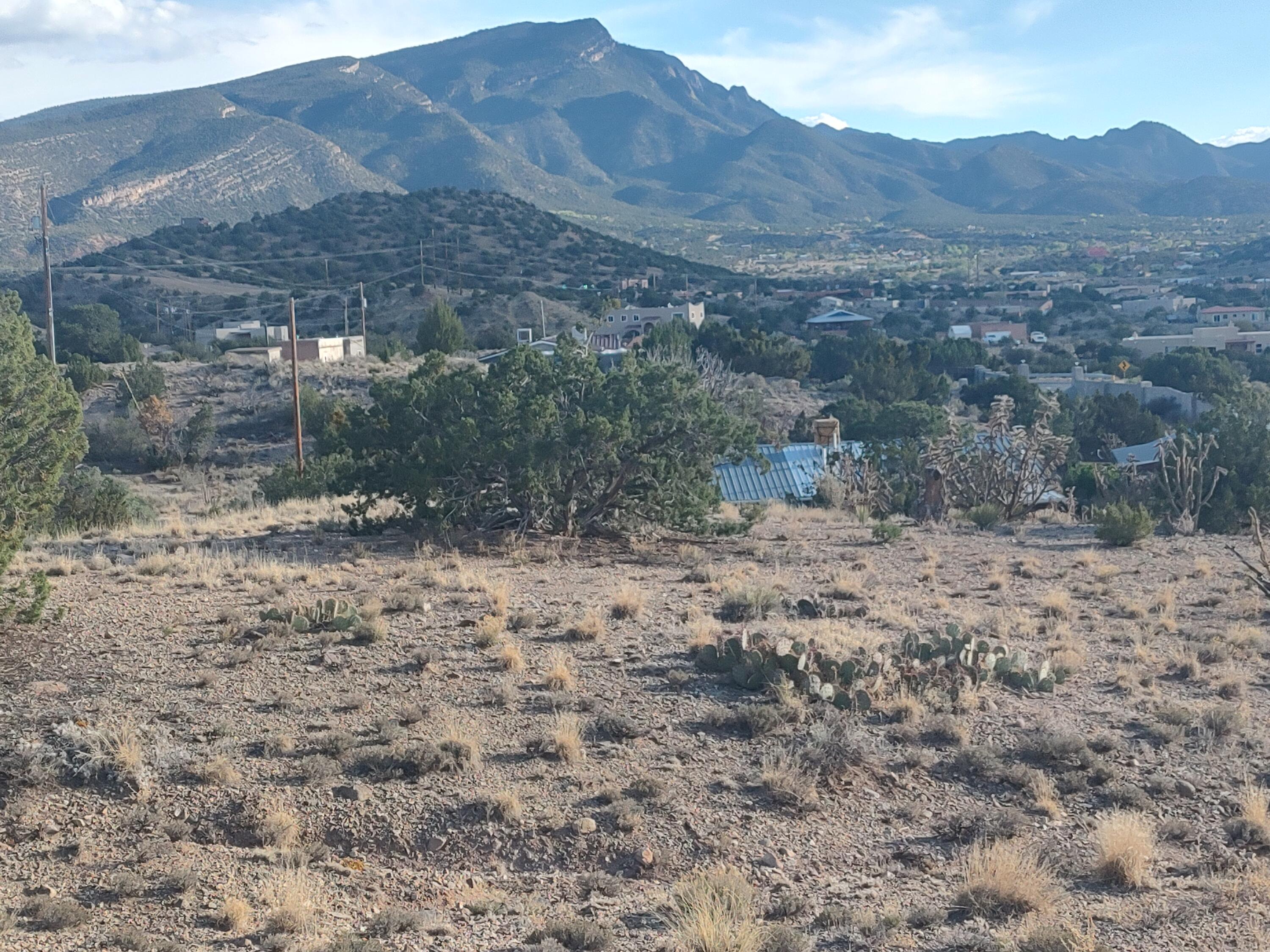 Photo 12 —  Camino De Las Huertas