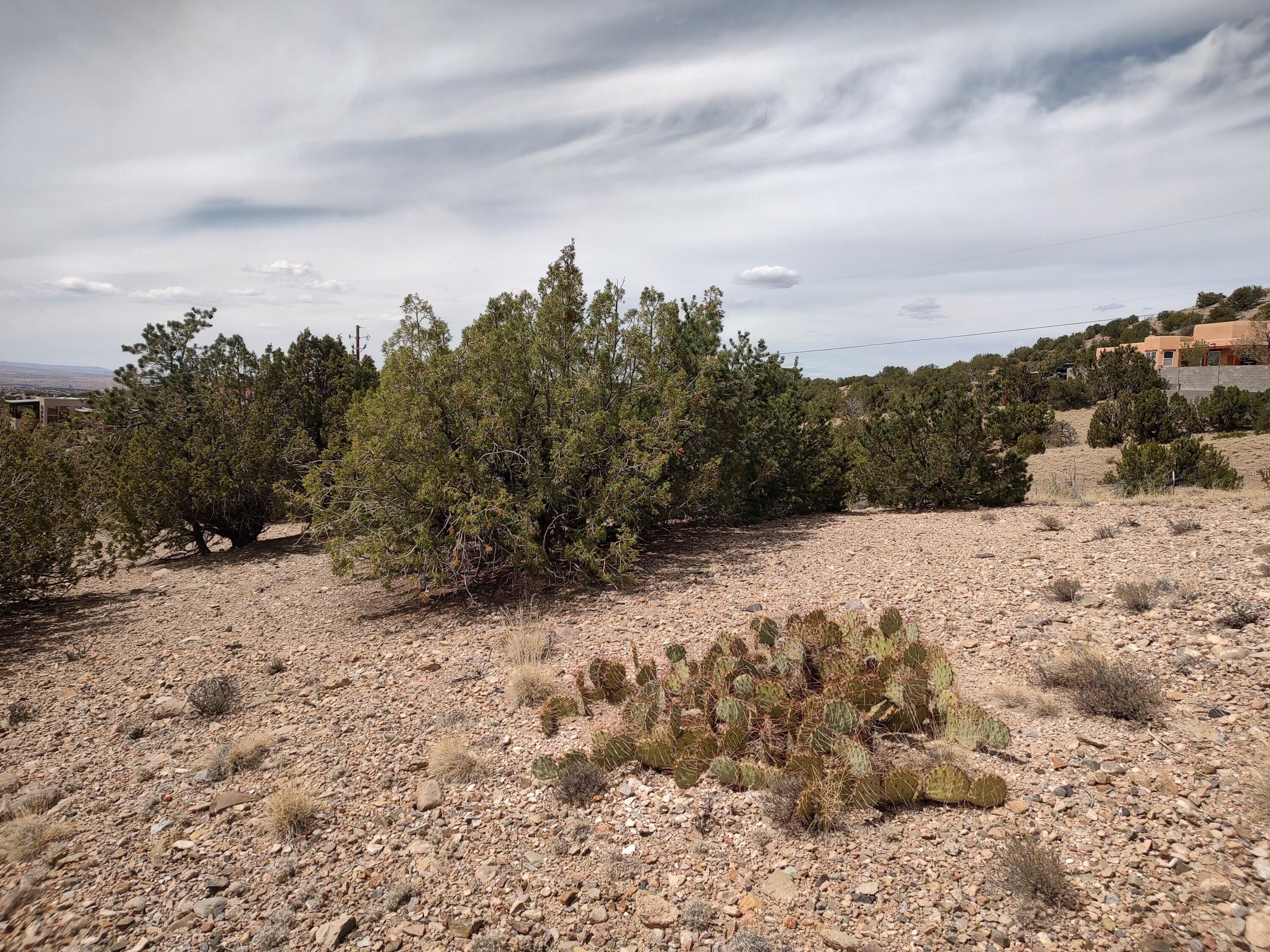 Photo 16 —  Camino De Las Huertas