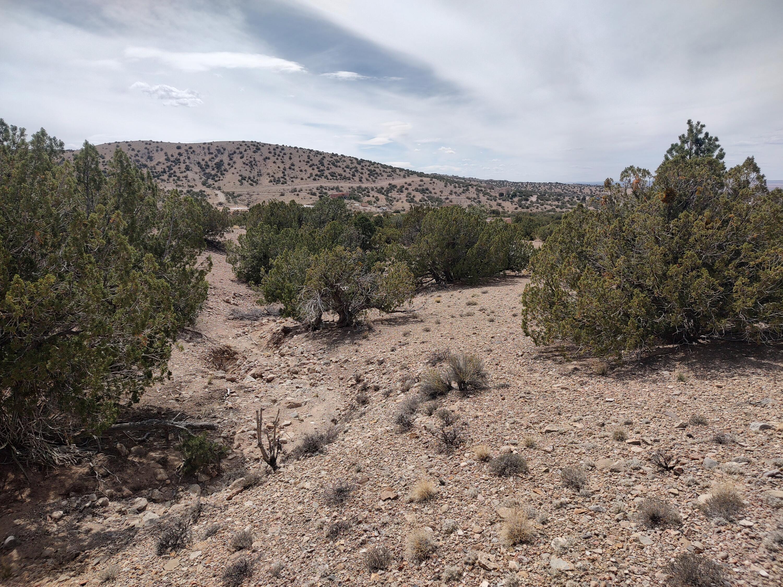 Photo 2 —  Camino De Las Huertas