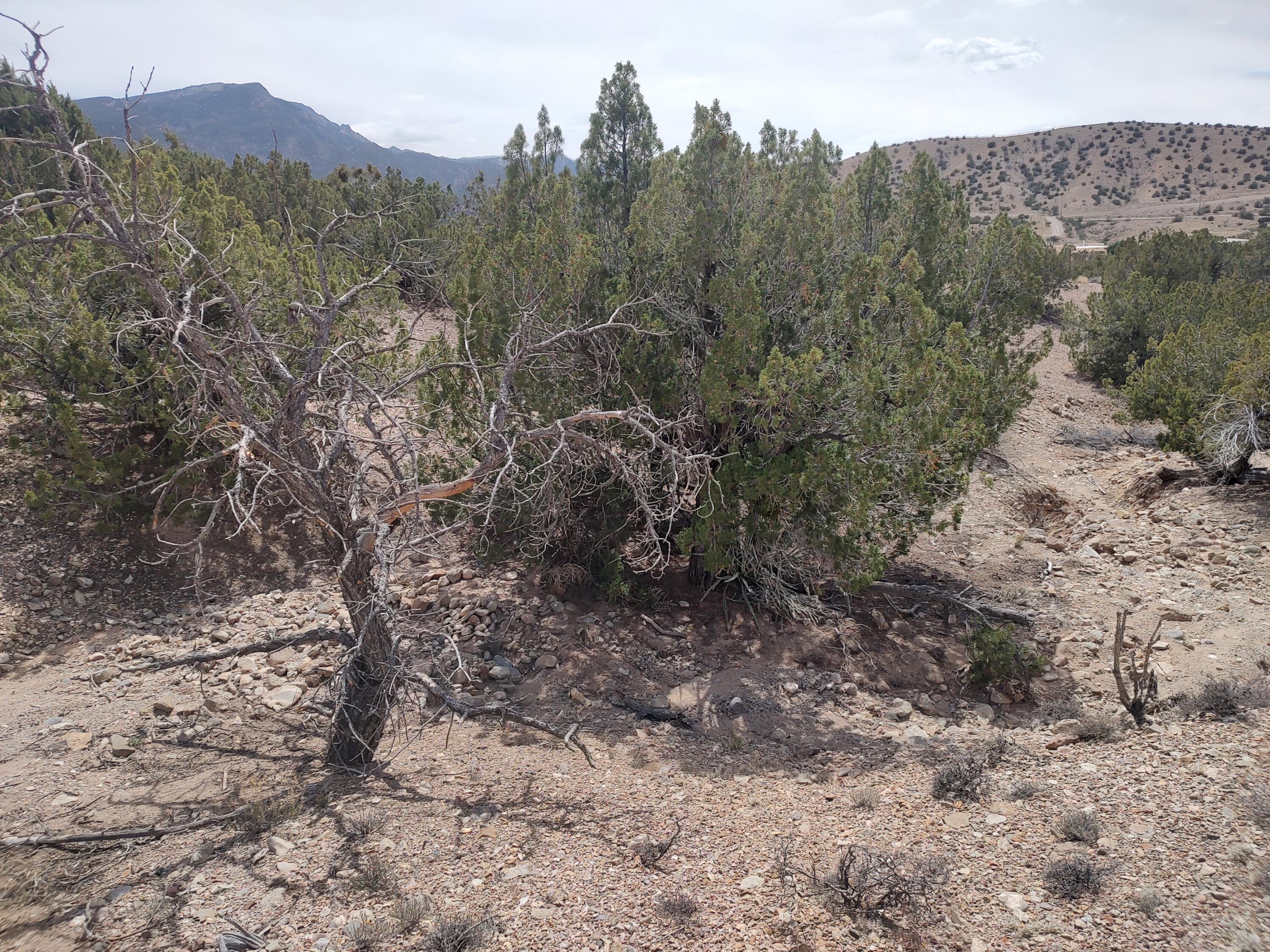 Photo 3 —  Camino De Las Huertas