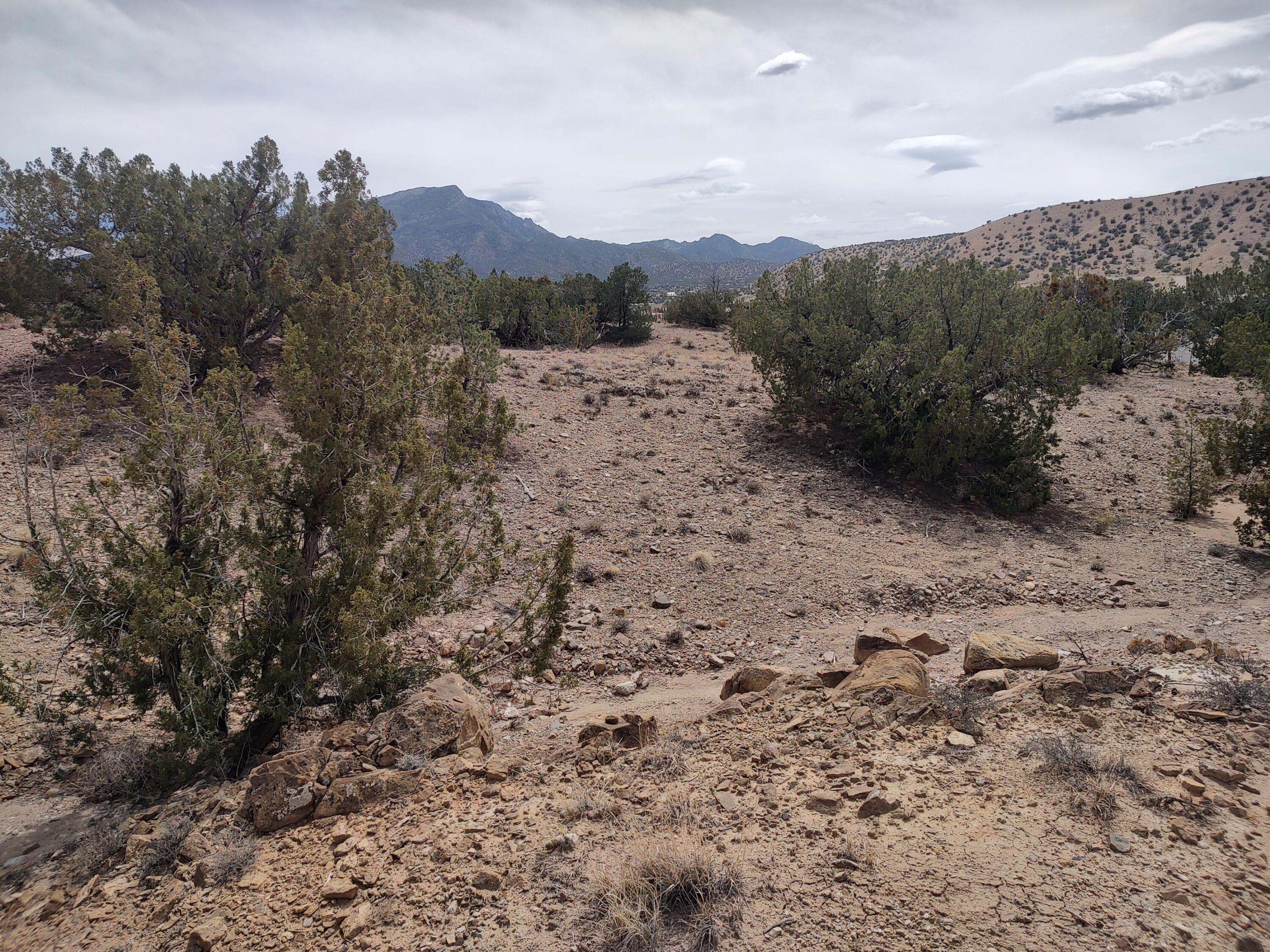 Photo 4 —  Camino De Las Huertas