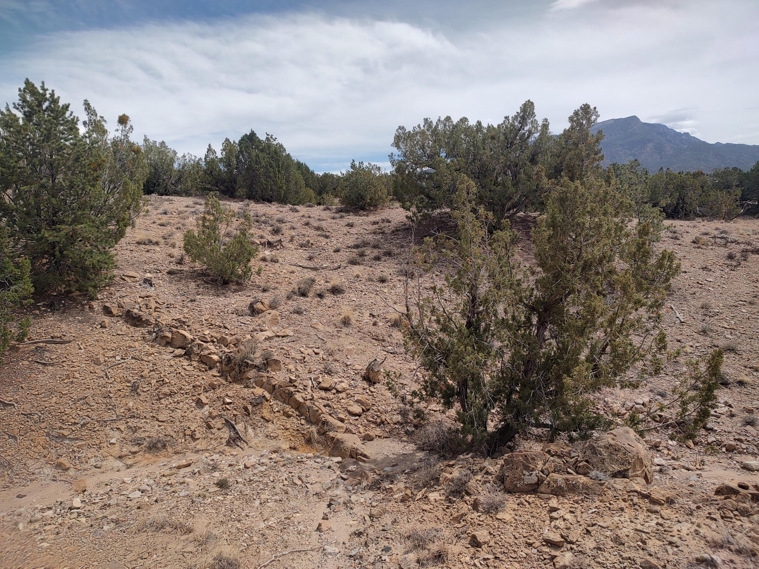 Photo 5 —  Camino De Las Huertas