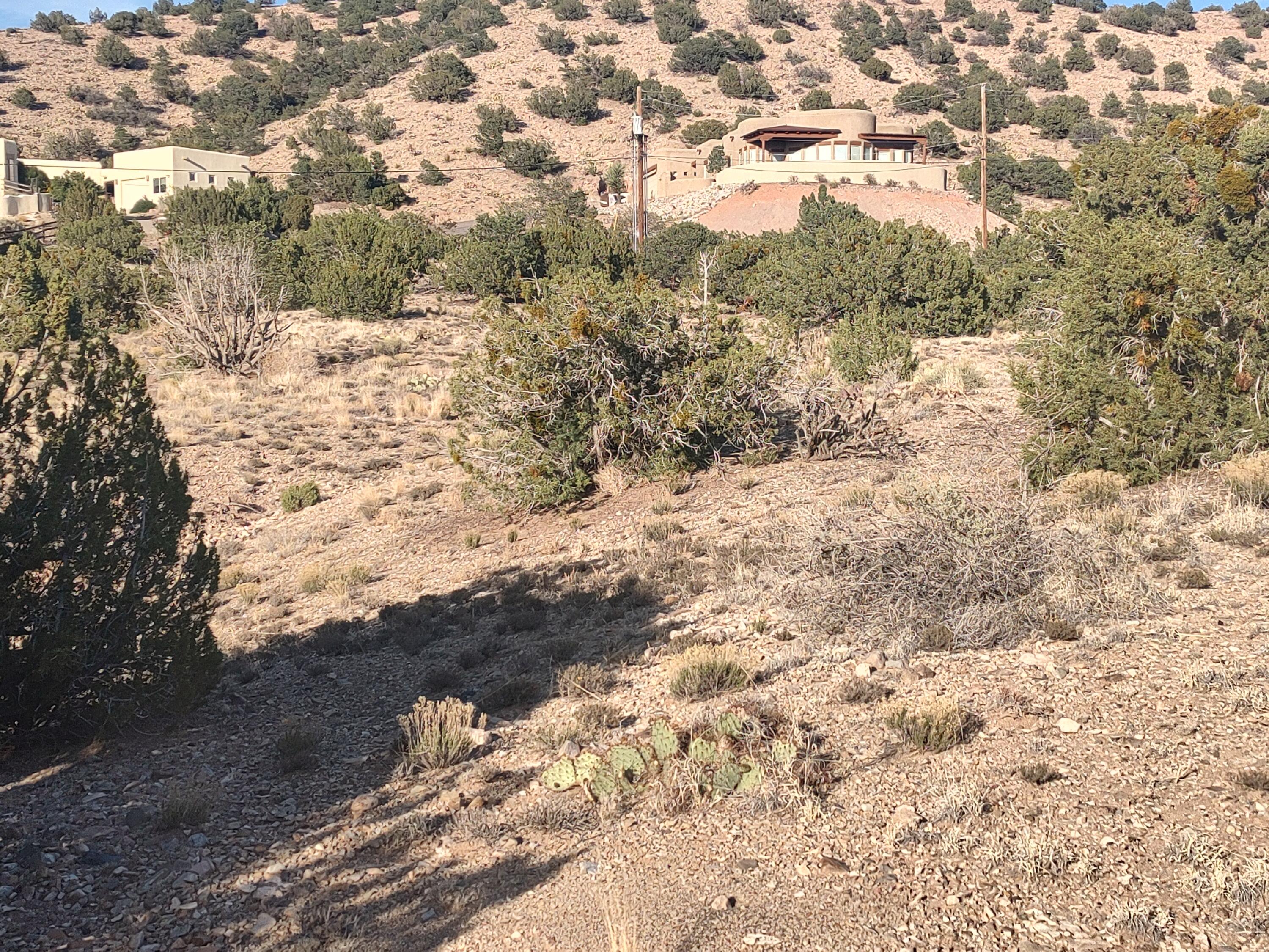Photo 17 —  Camino De Las Huertas