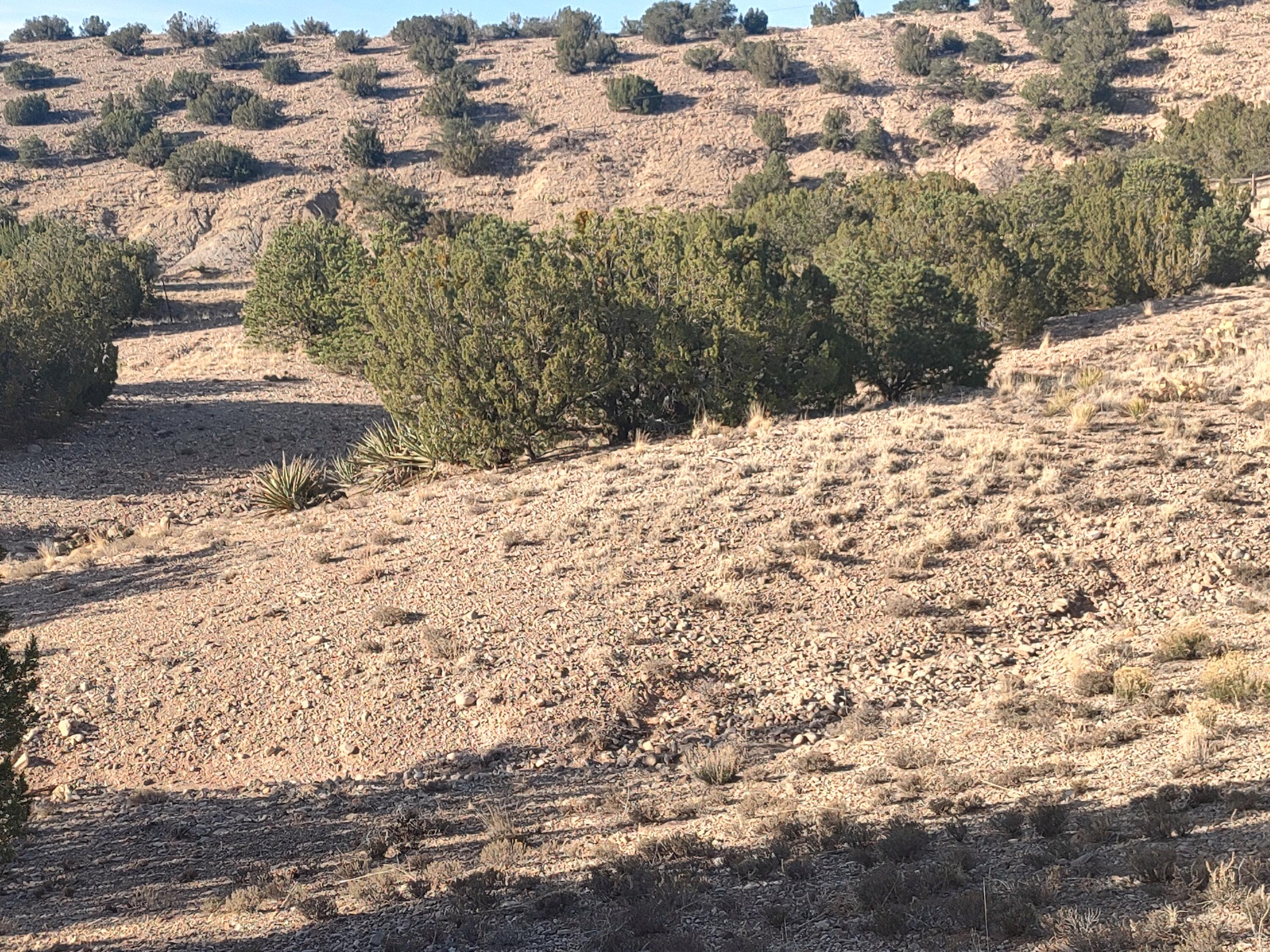 Photo 19 —  Camino De Las Huertas