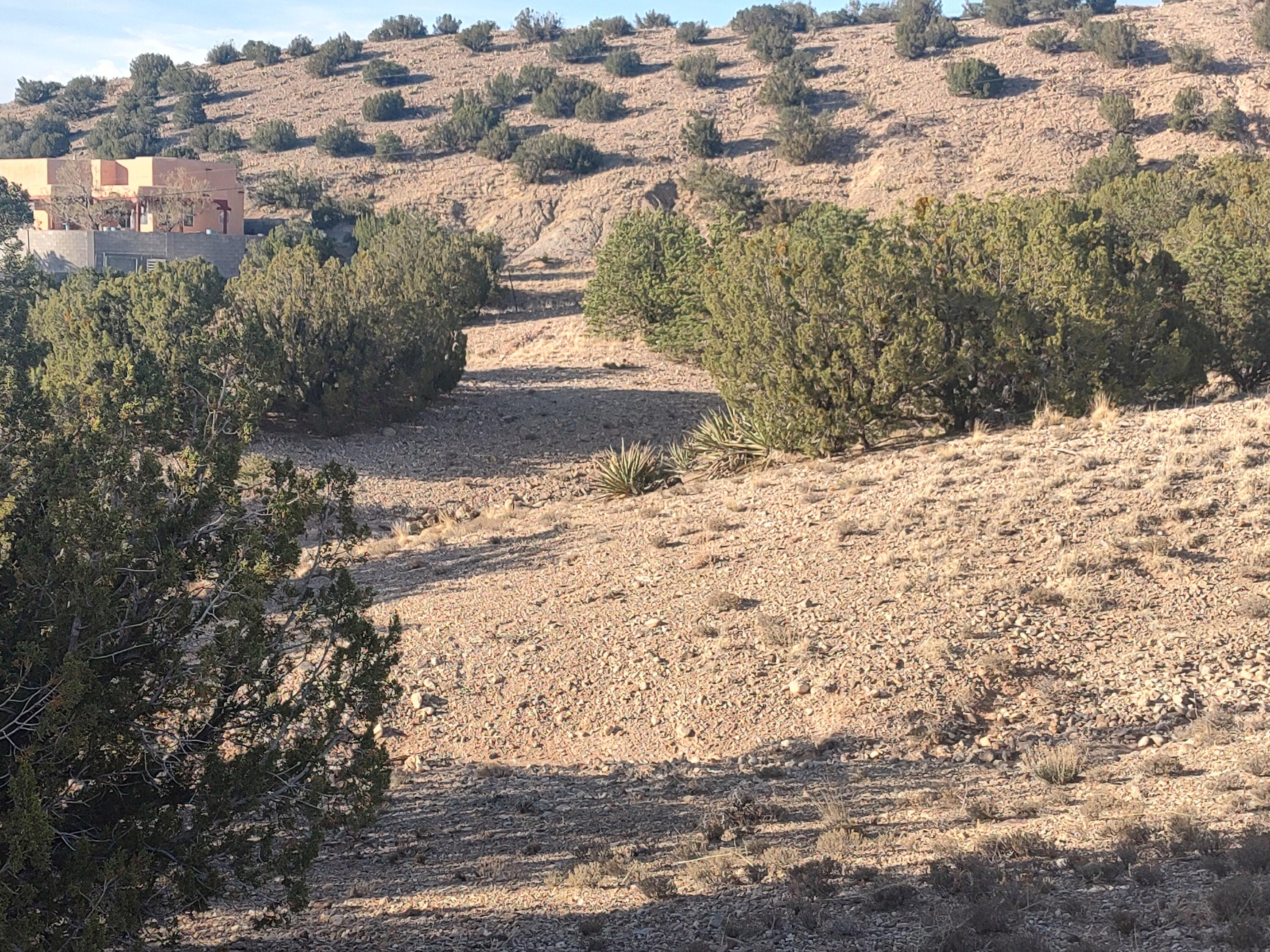 Photo 20 —  Camino De Las Huertas