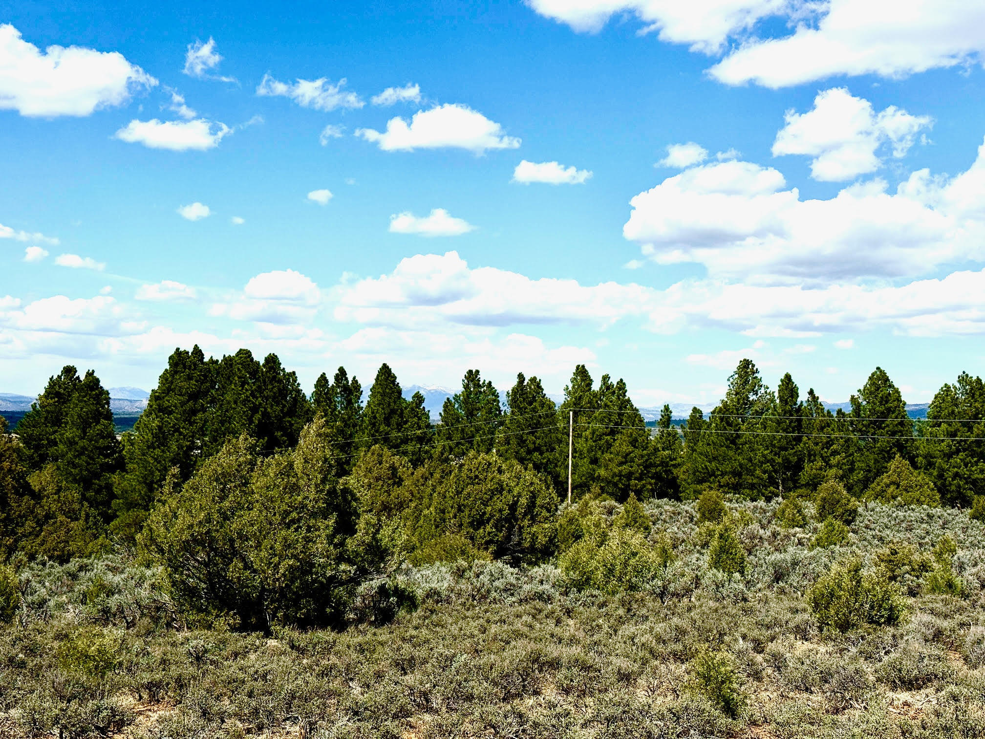 Photo 5 — XX U.S. Highway 64