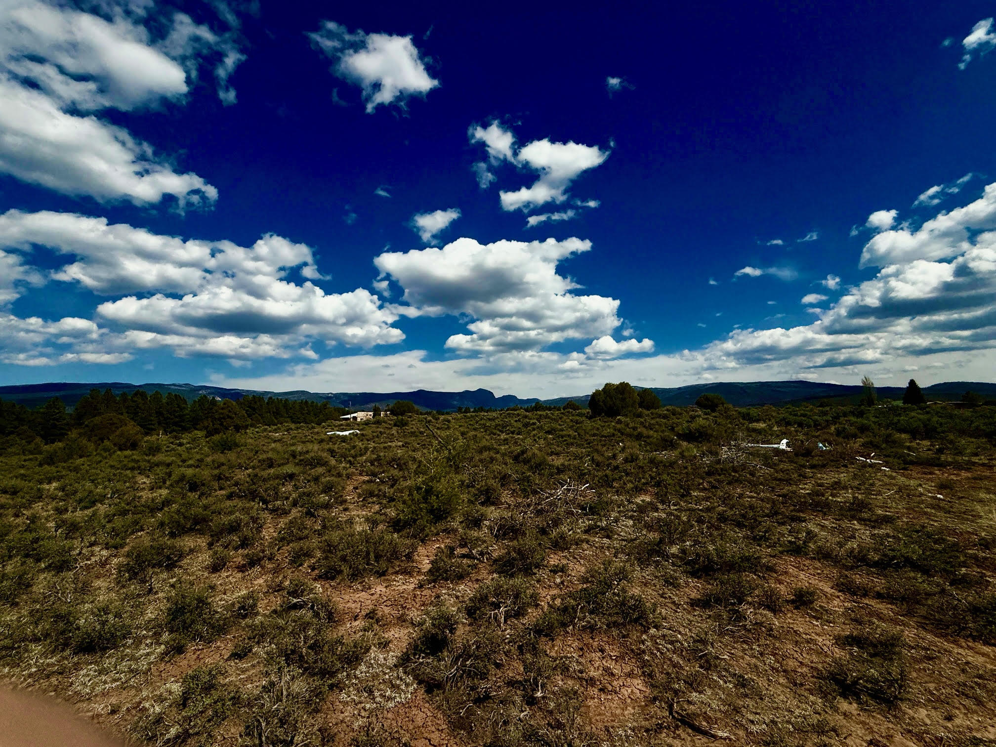 Photo 7 — XX U.S. Highway 64