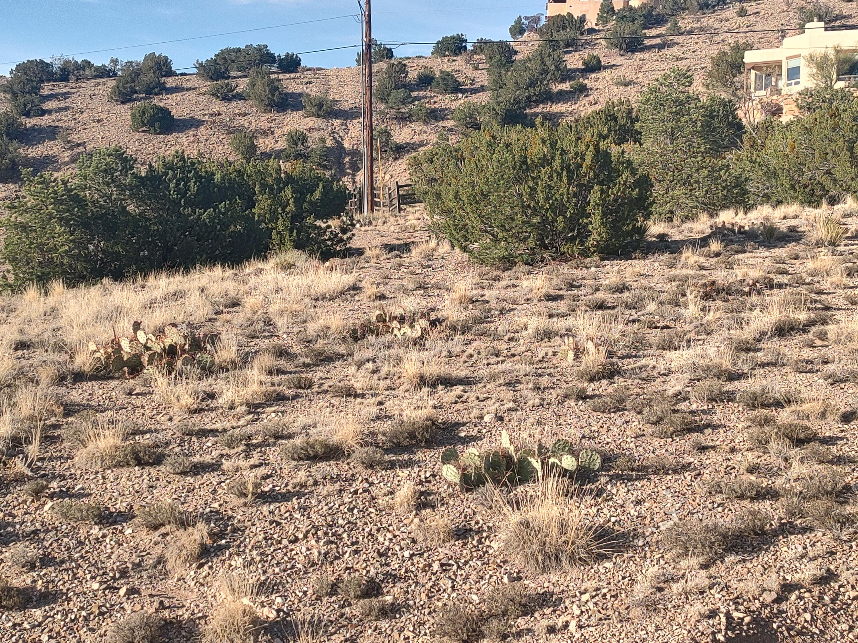 Photo 13 —  Las Brisas Loop