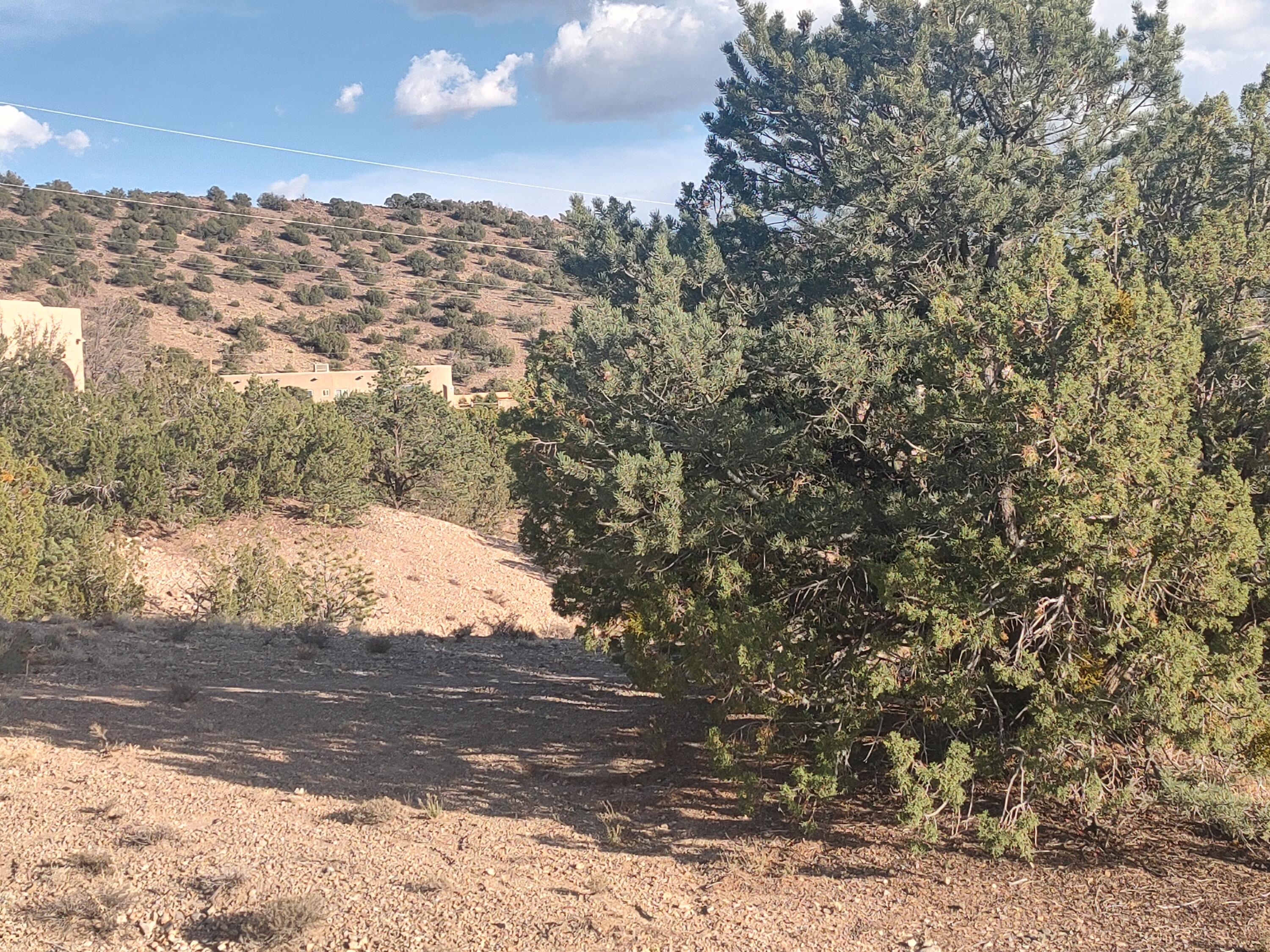 Photo 14 —  Las Brisas Loop