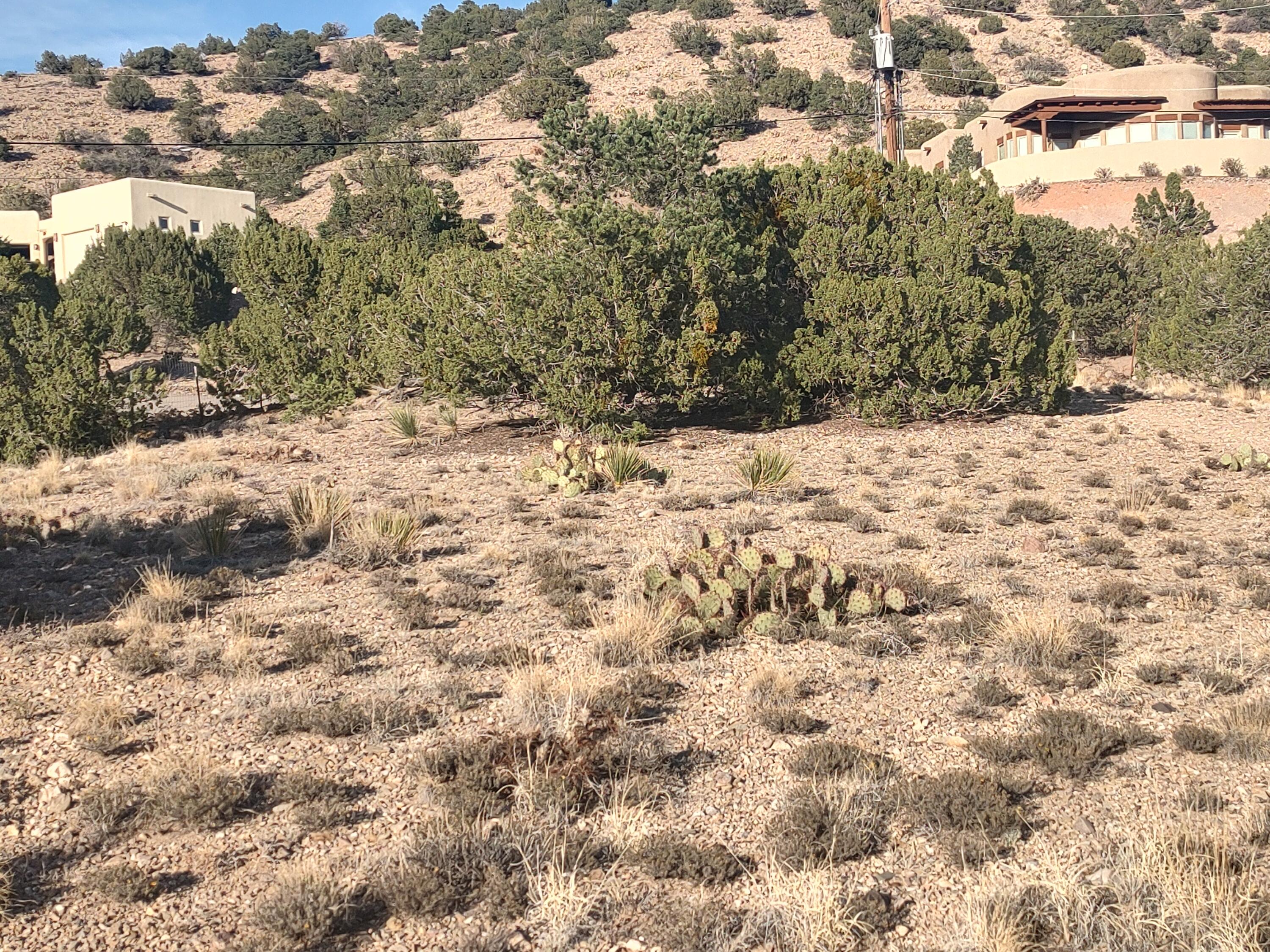 Photo 17 —  Las Brisas Loop