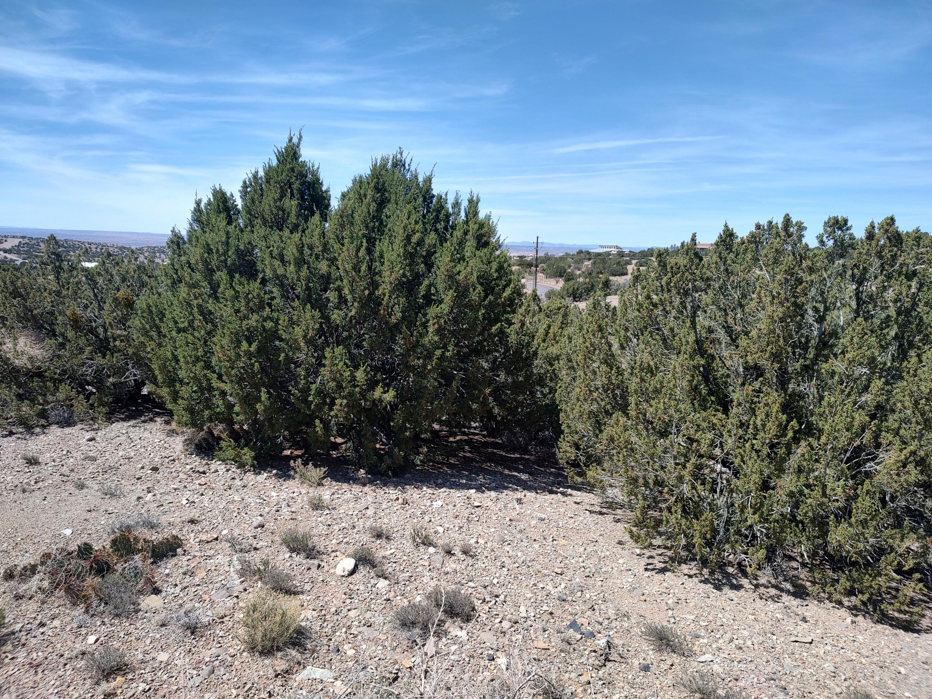 Photo 20 —  Las Brisas Loop