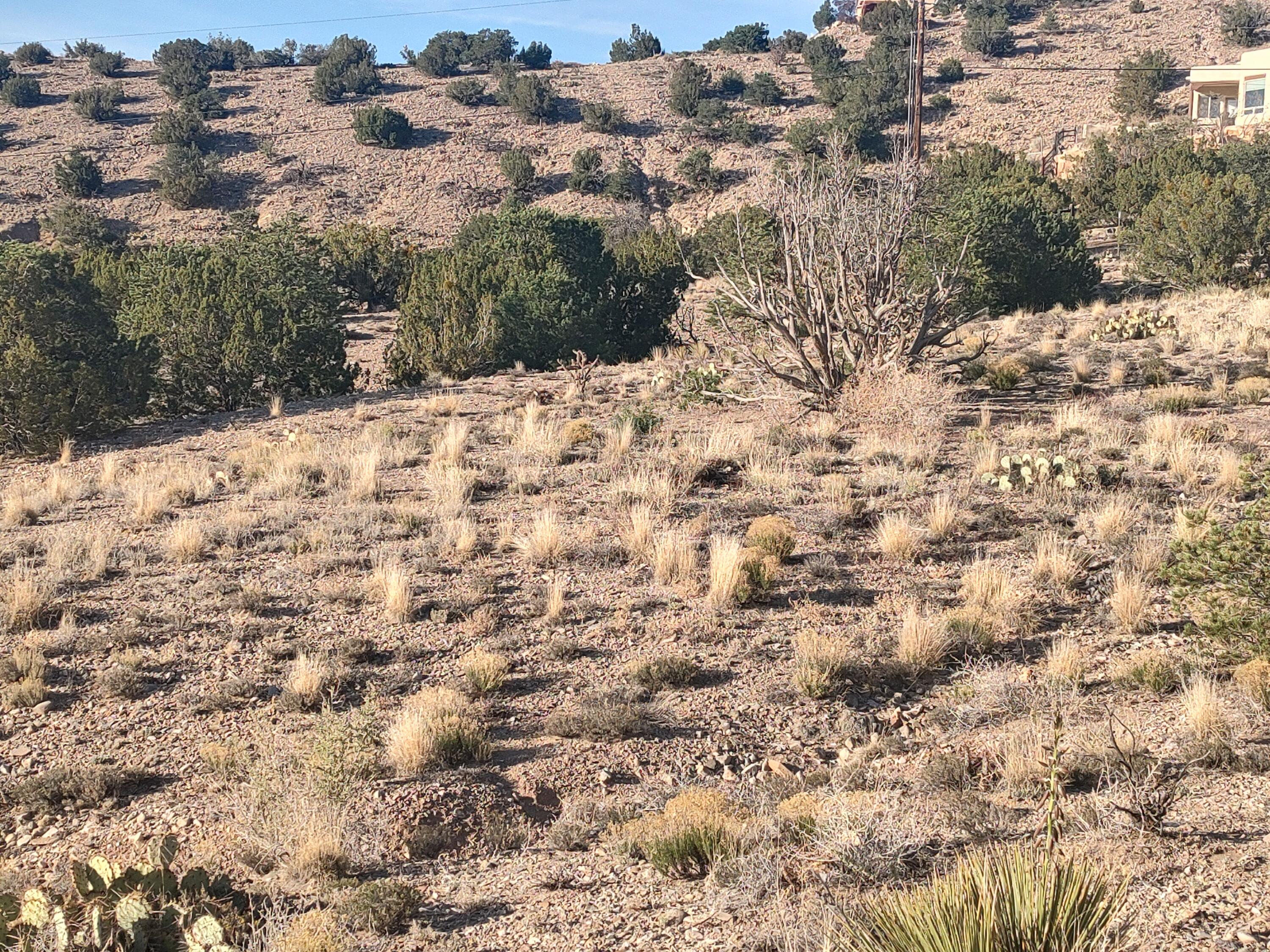 Photo 4 —  Las Brisas Loop