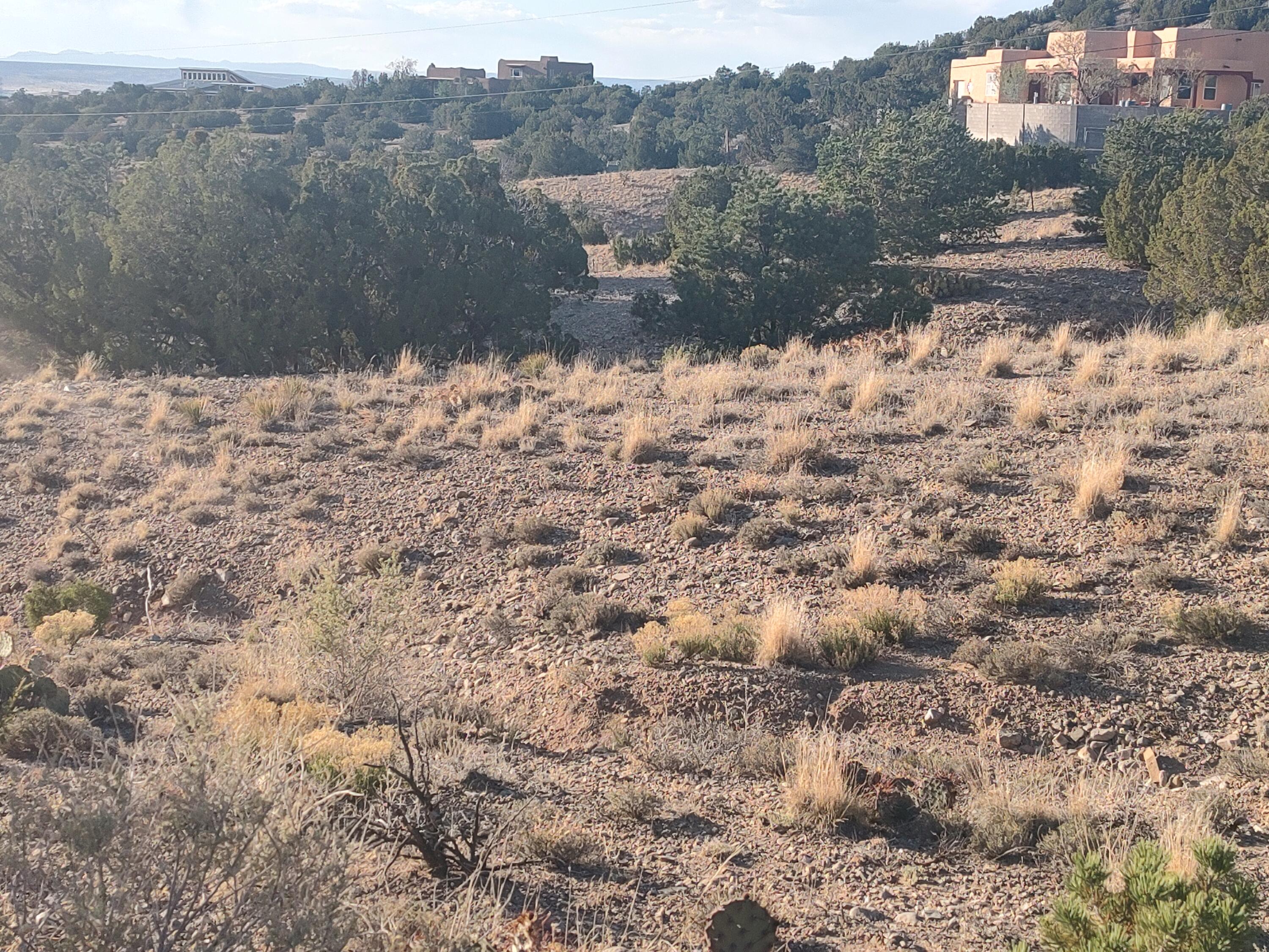 Photo 10 —  Las Brisas Loop