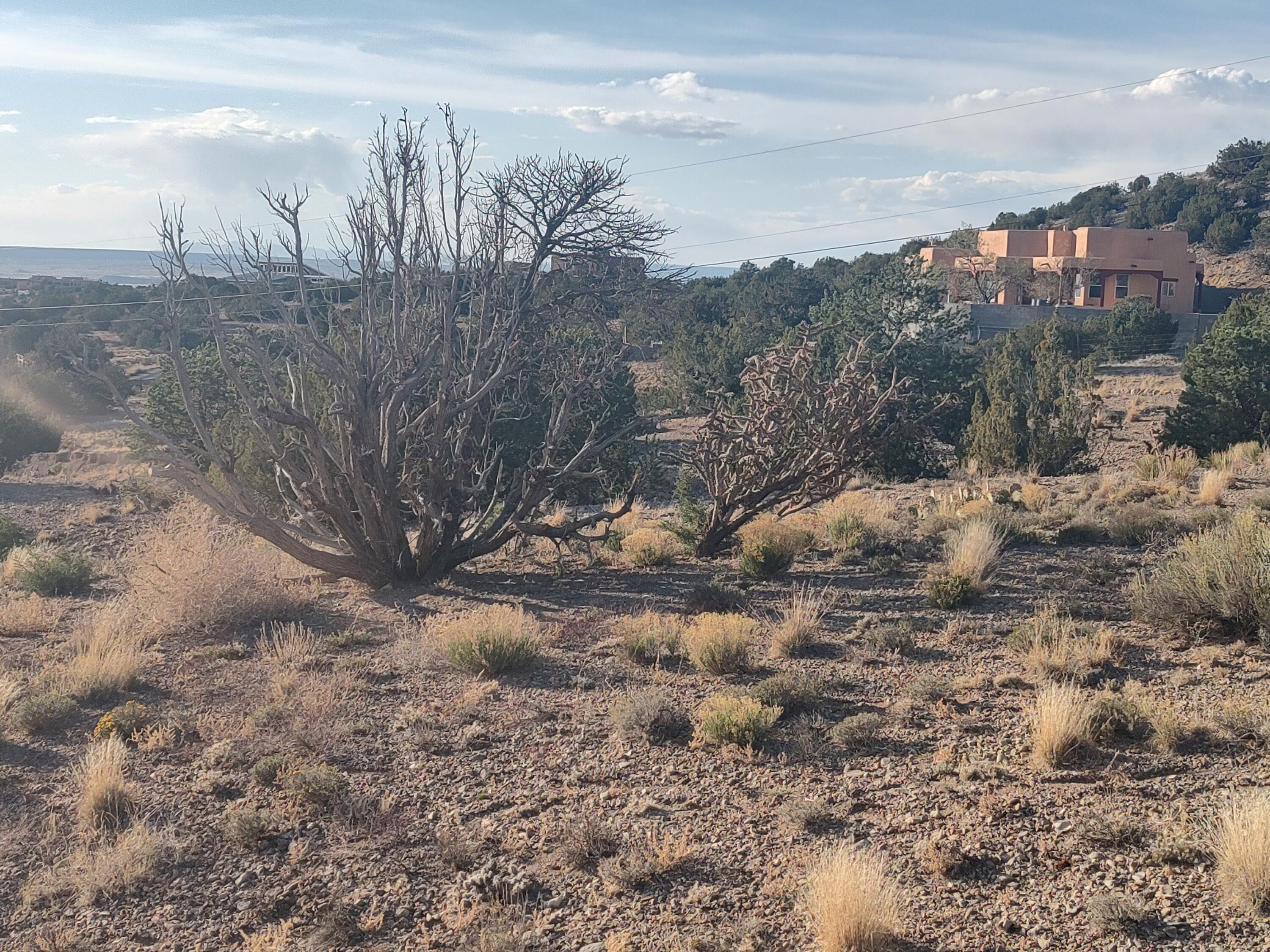 Photo 11 —  Las Brisas Loop