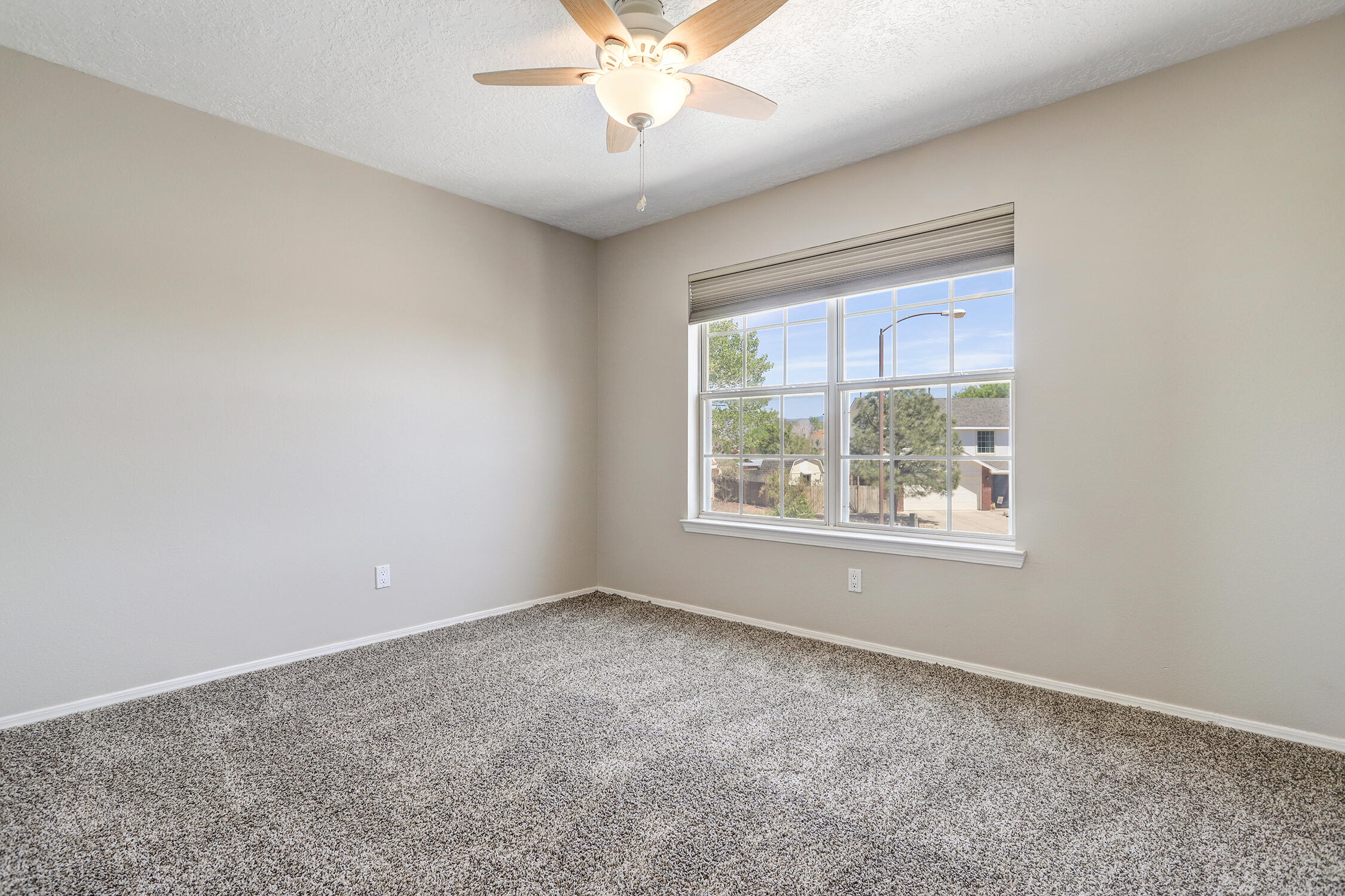 Photo 12 — 11 Apache Plume Road