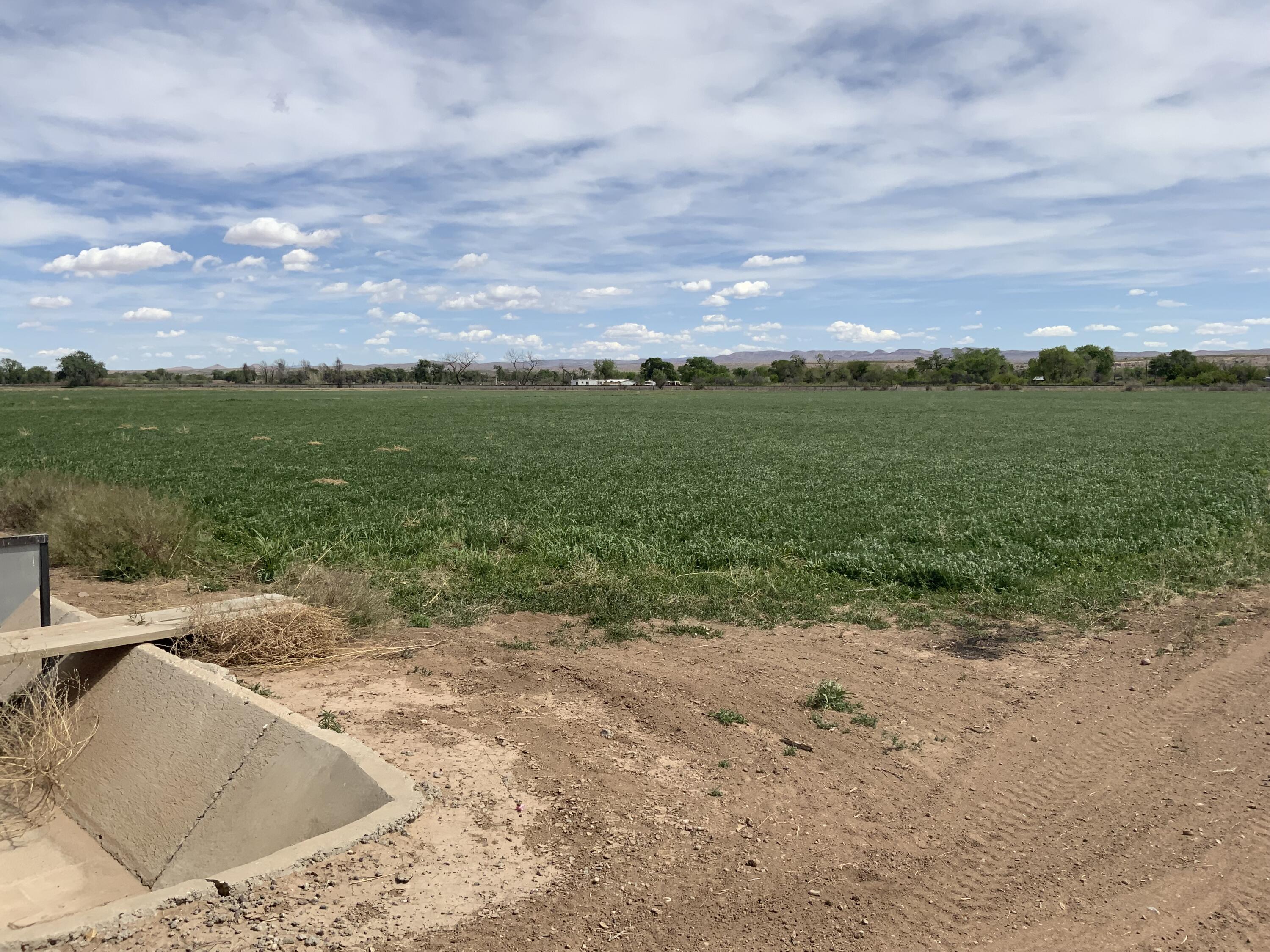 Photo 3 —  Farm To Market Road