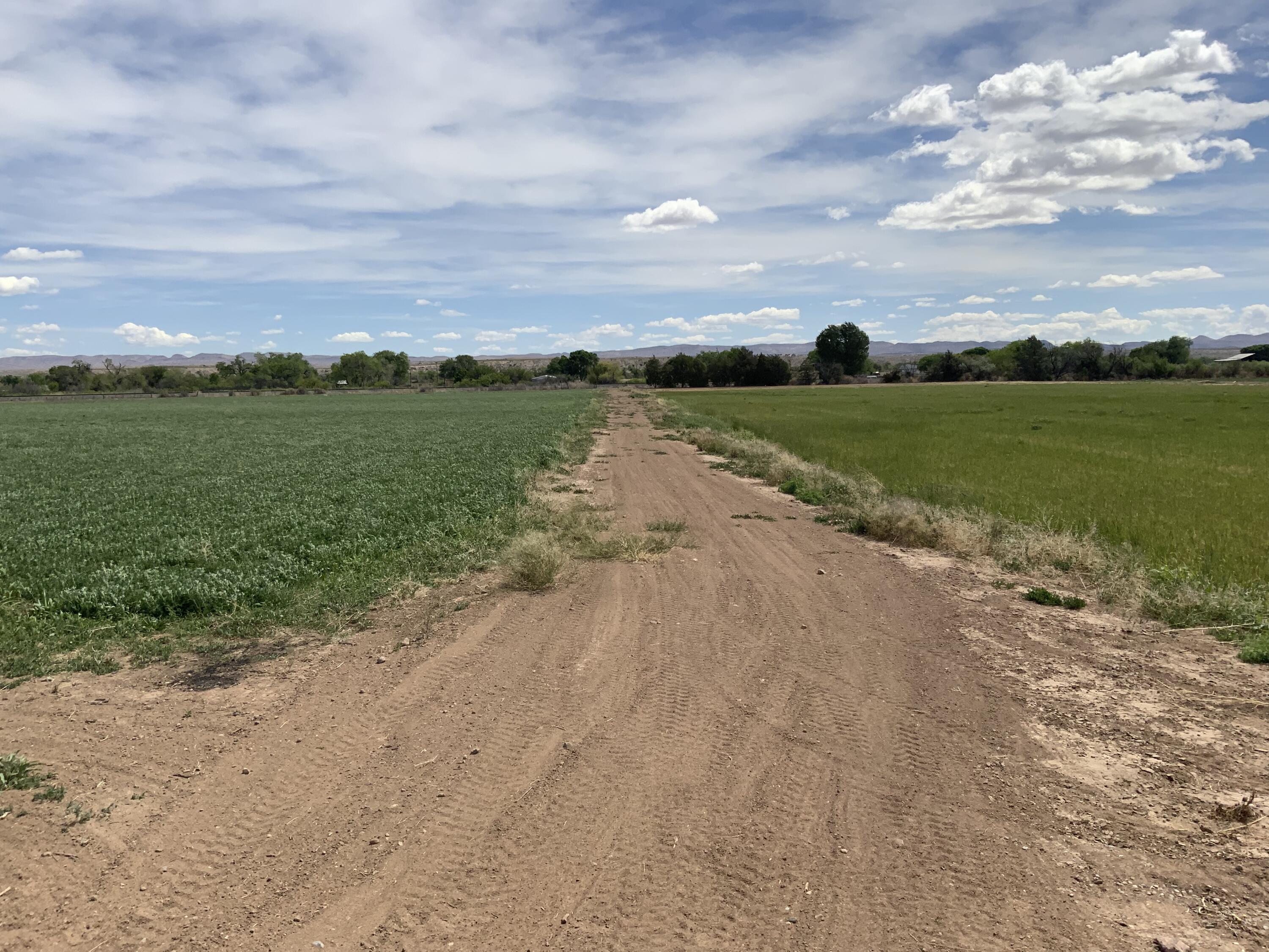 Photo 4 —  Farm To Market Road