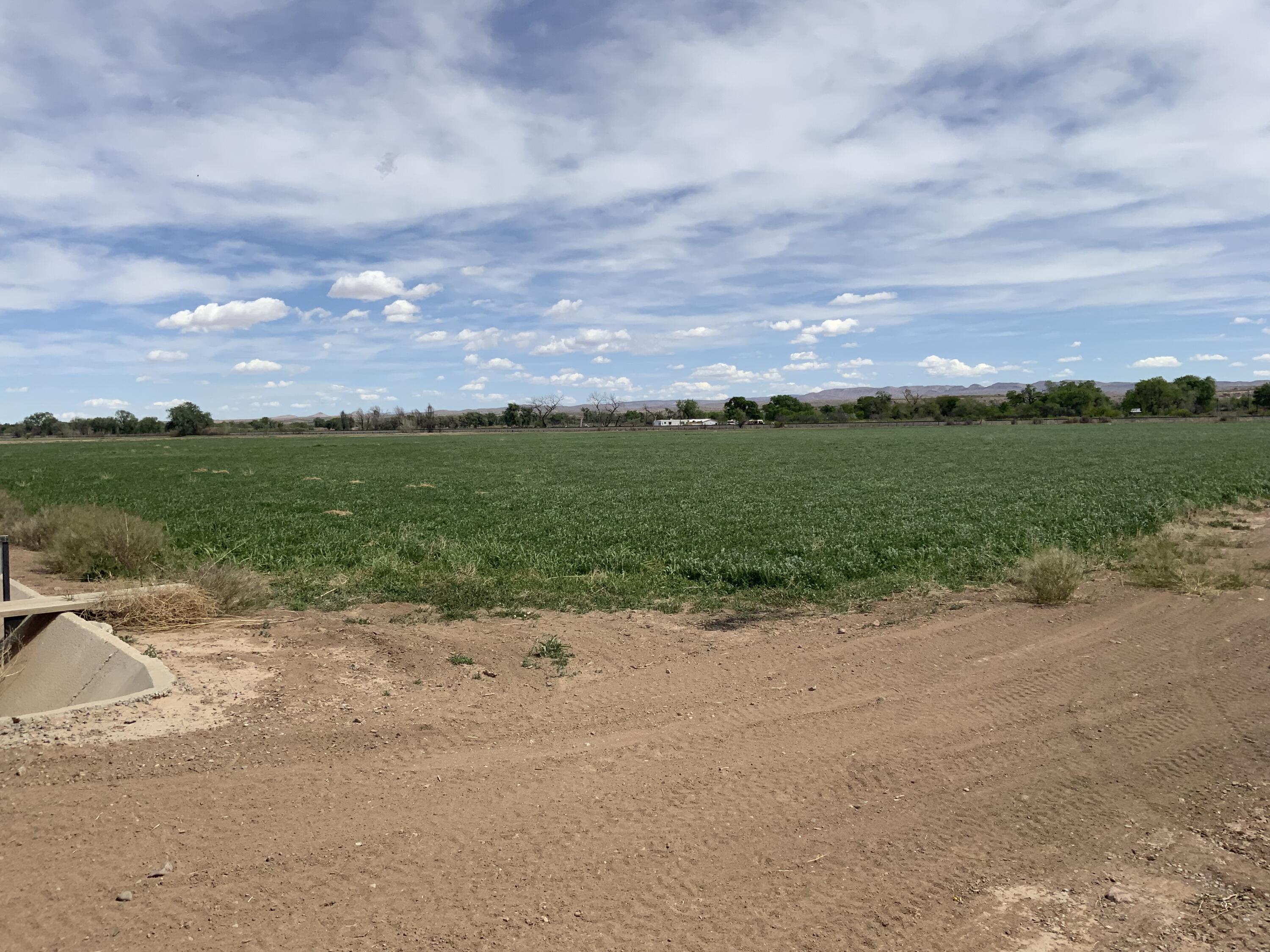 Photo 5 —  Farm To Market Road