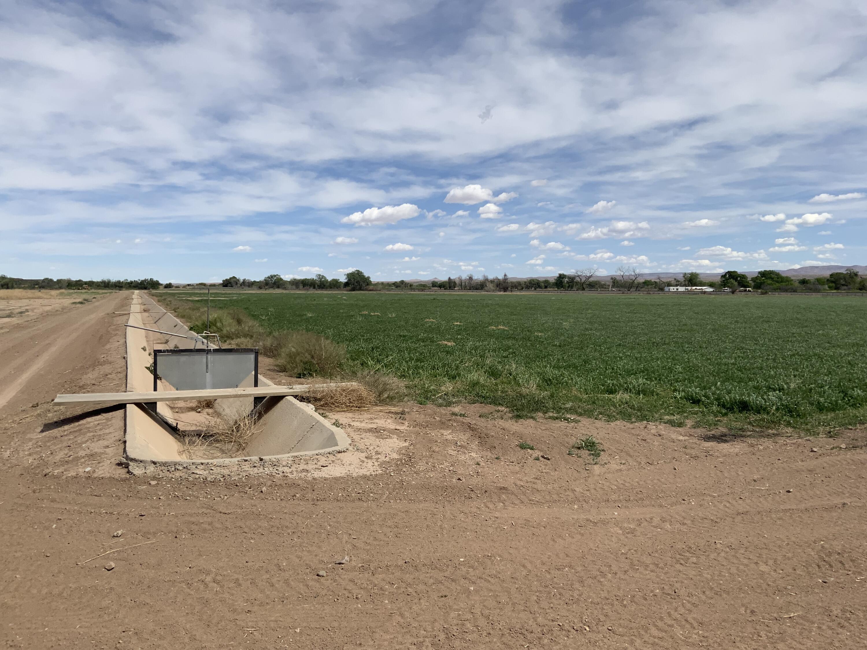 Photo 6 —  Farm To Market Road