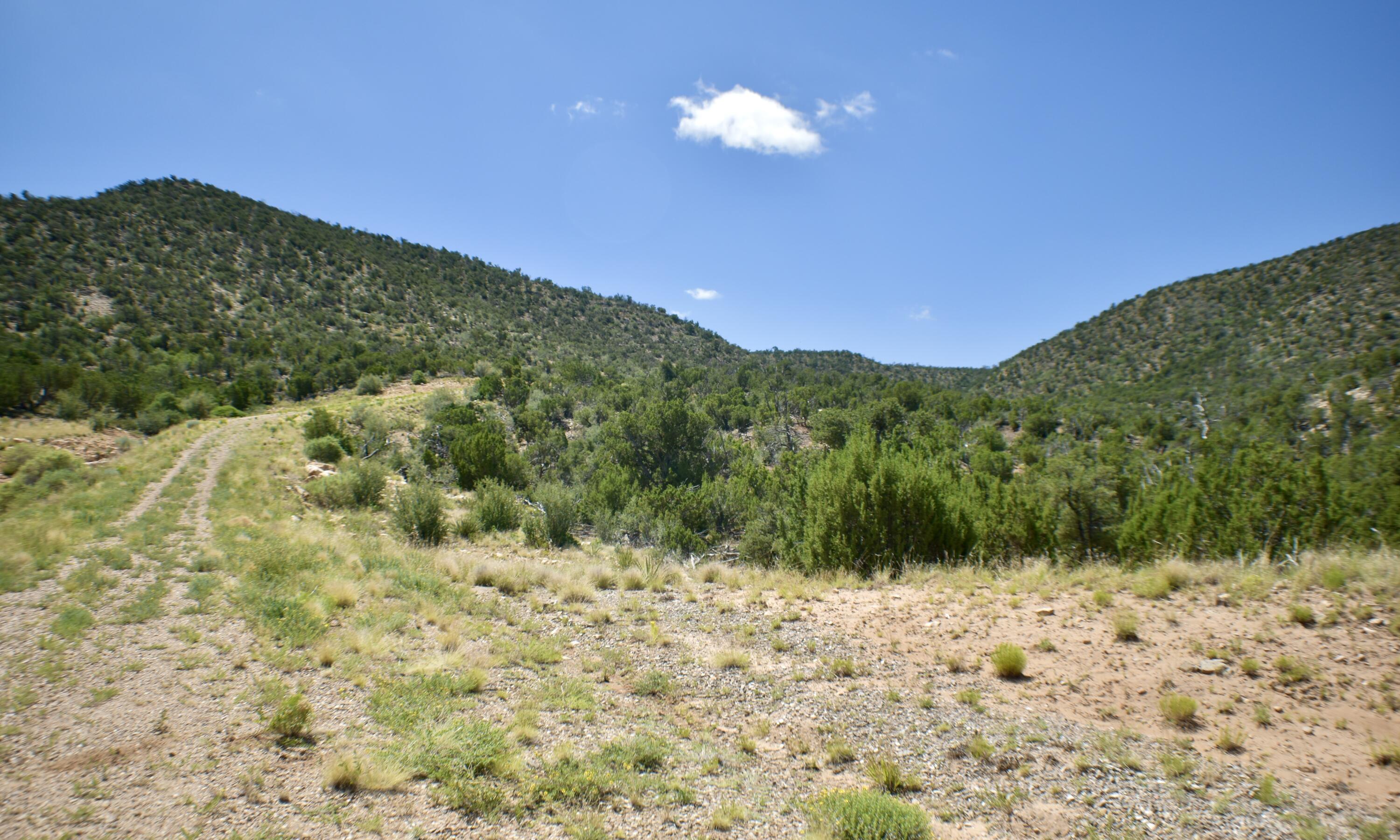 Photo 10 — 6 Chato Trail