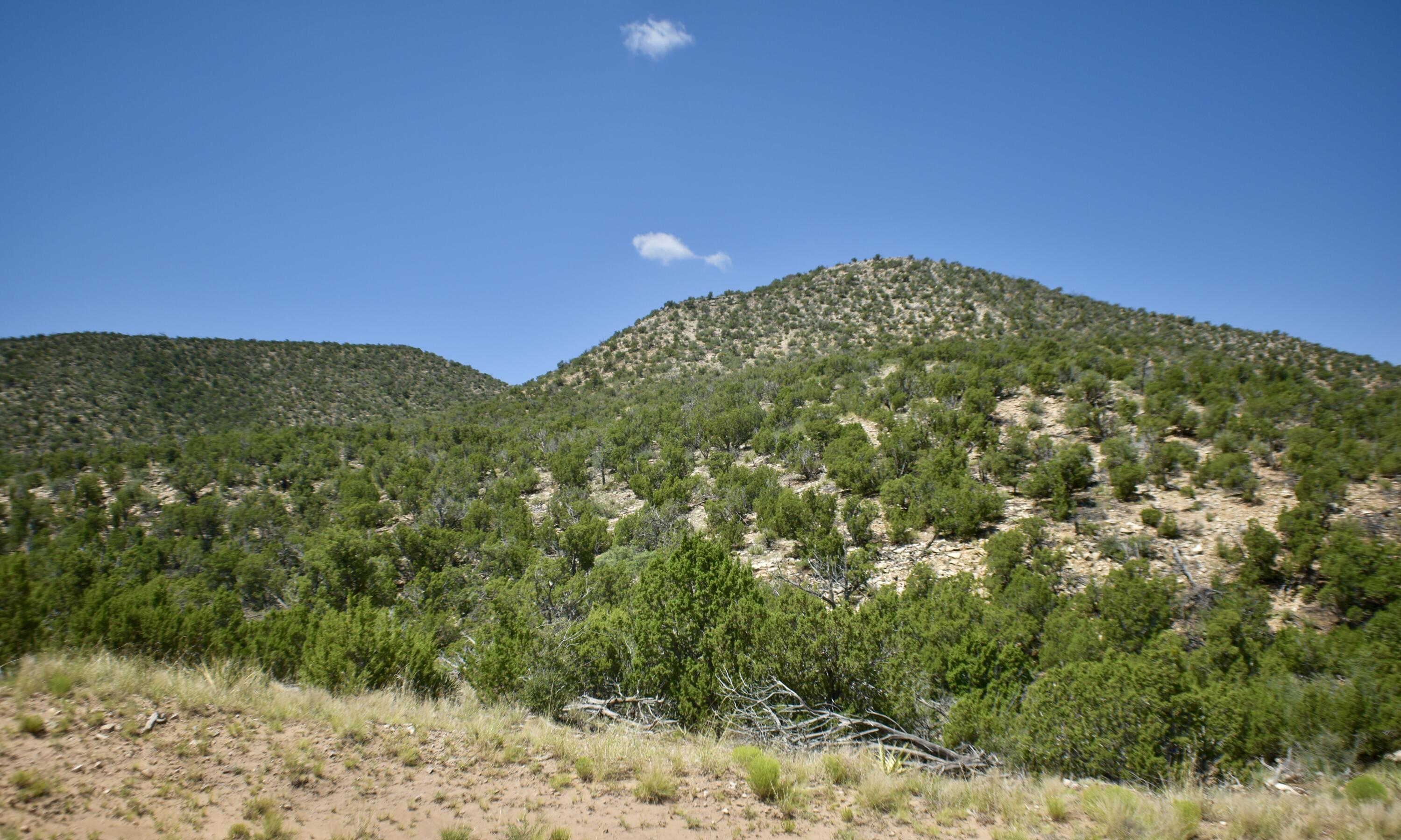 Photo 9 — 6 Chato Trail