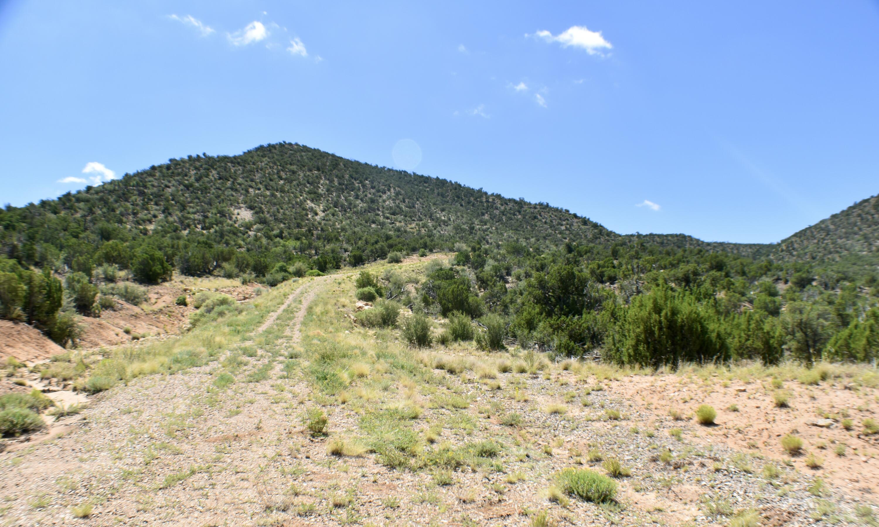Photo 8 — 6 Chato Trail