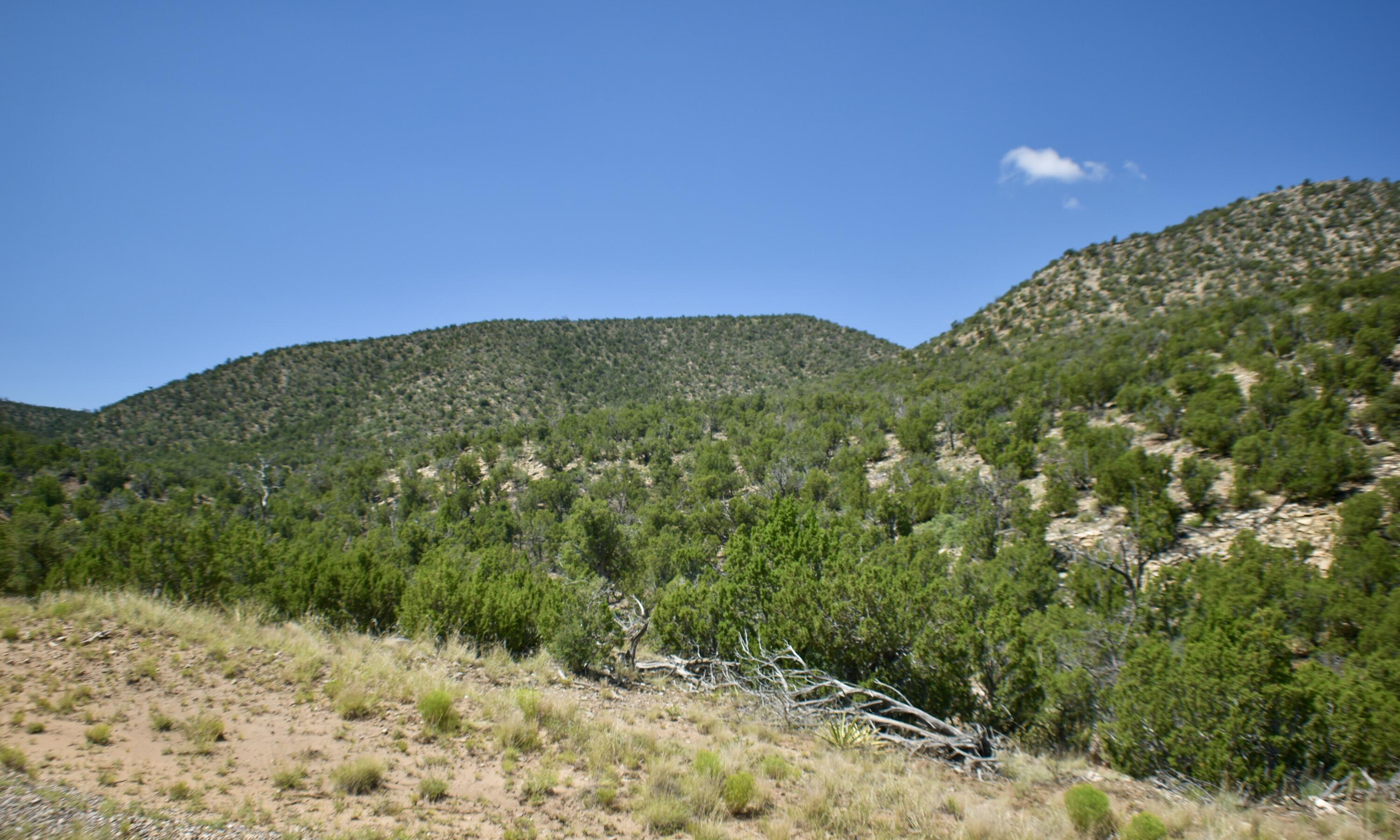 Photo 7 — 6 Chato Trail