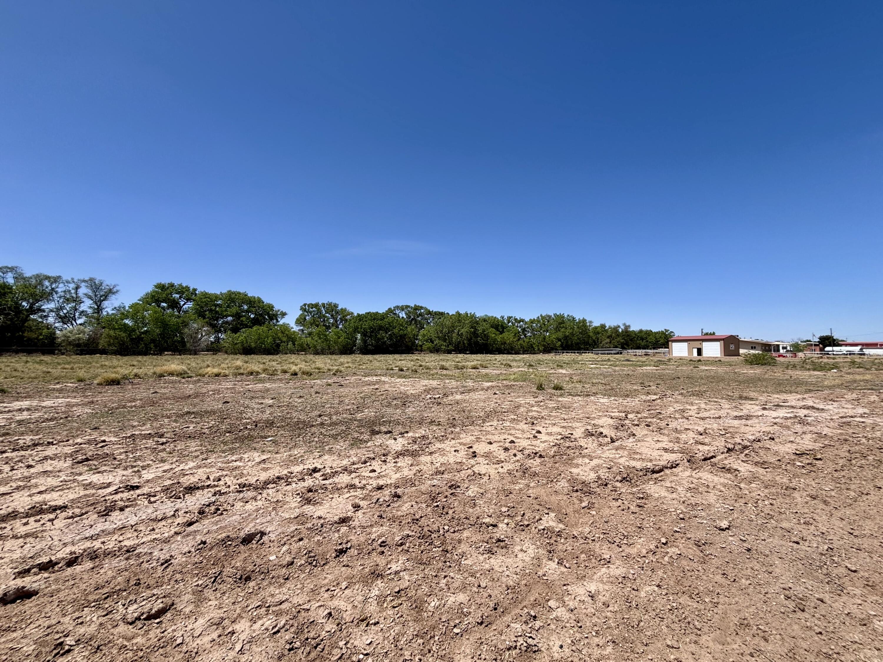 Photo 6 — 19474 Highway 314