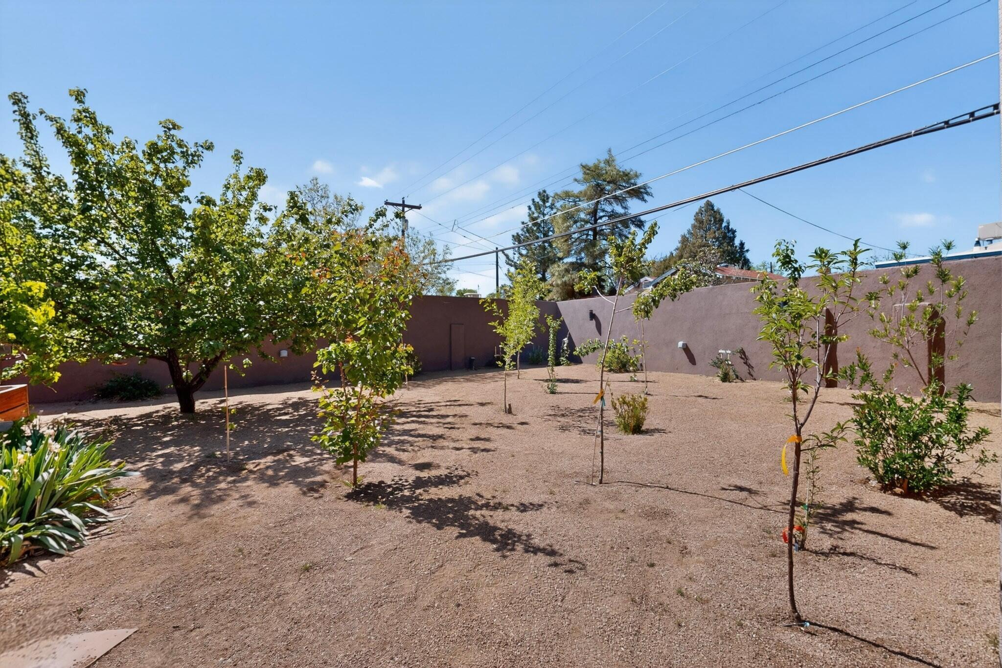 Photo 9 — 1617 Anderson Place SE