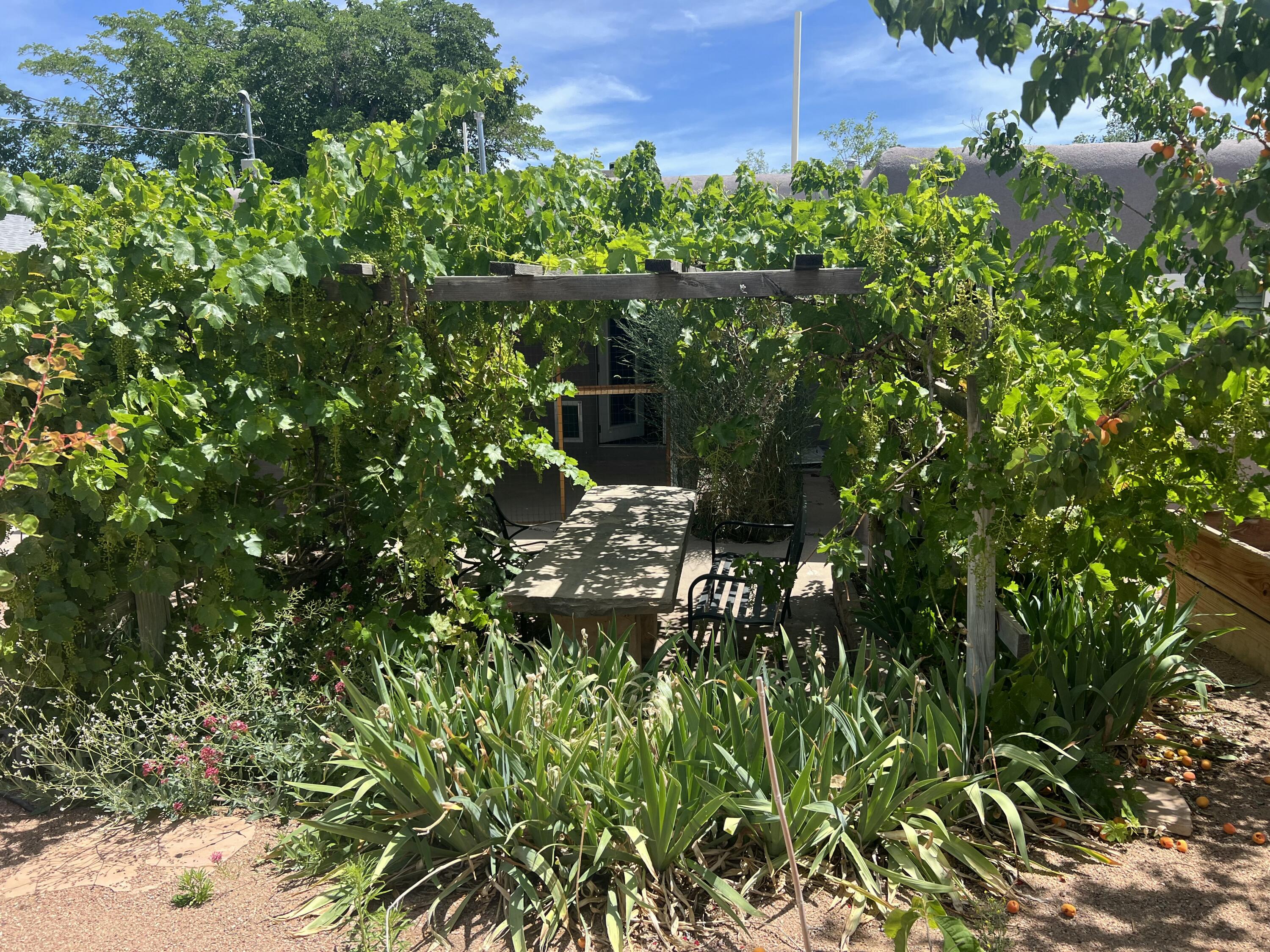 Photo 5 — 1617 Anderson Place SE