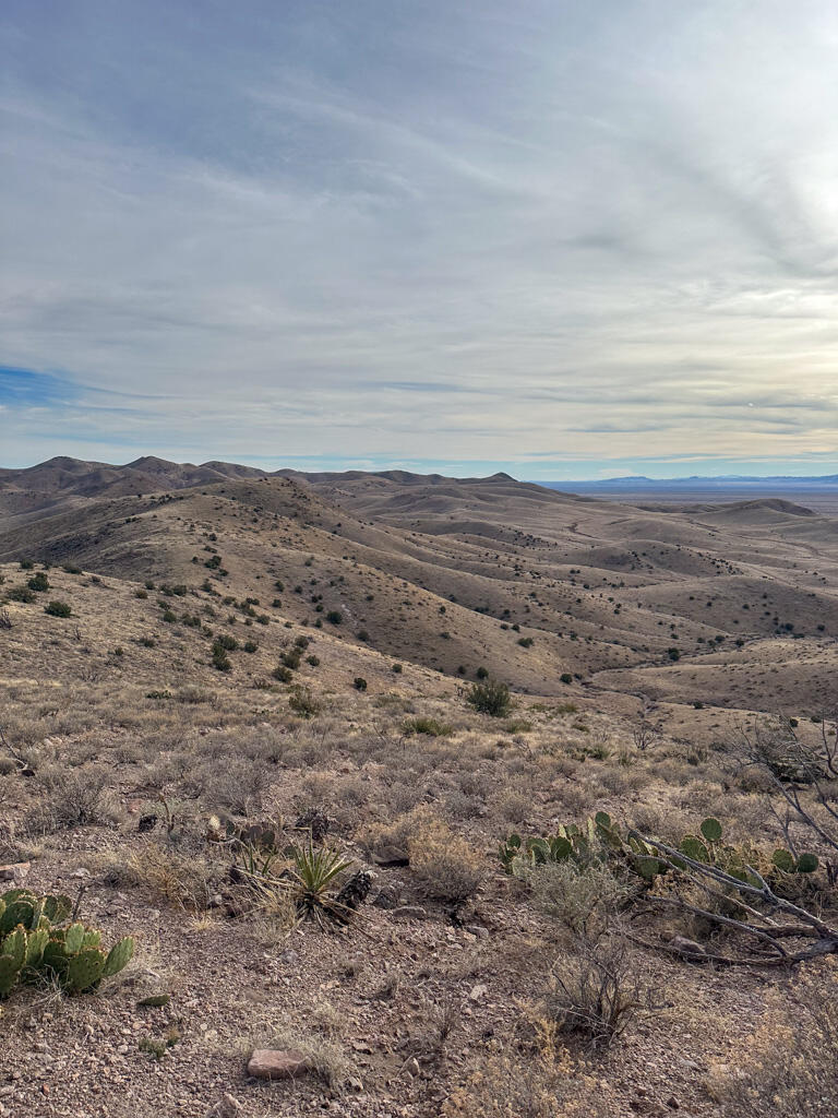 Photo 20 —  Table Mountain Road