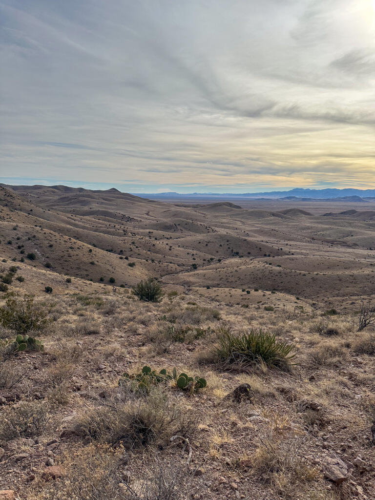 Photo 18 —  Table Mountain Road