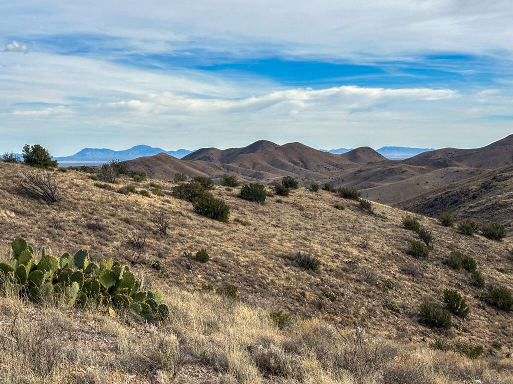 Photo 17 —  Table Mountain Road