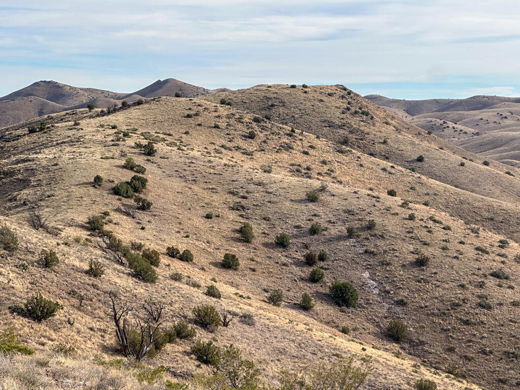 Photo 16 —  Table Mountain Road