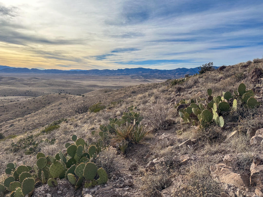 Photo 15 —  Table Mountain Road