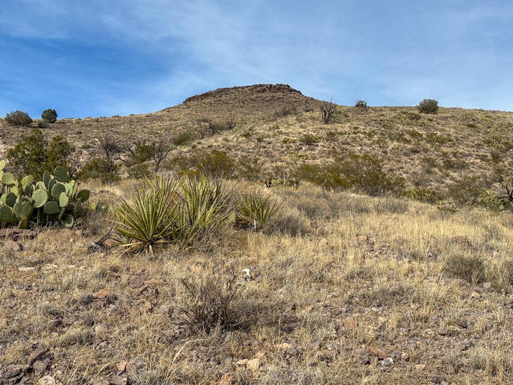 Photo 14 —  Table Mountain Road