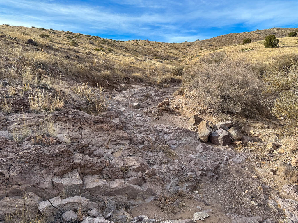 Photo 12 —  Table Mountain Road