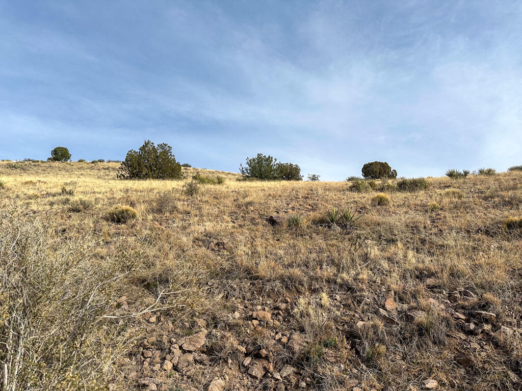 Photo 11 —  Table Mountain Road