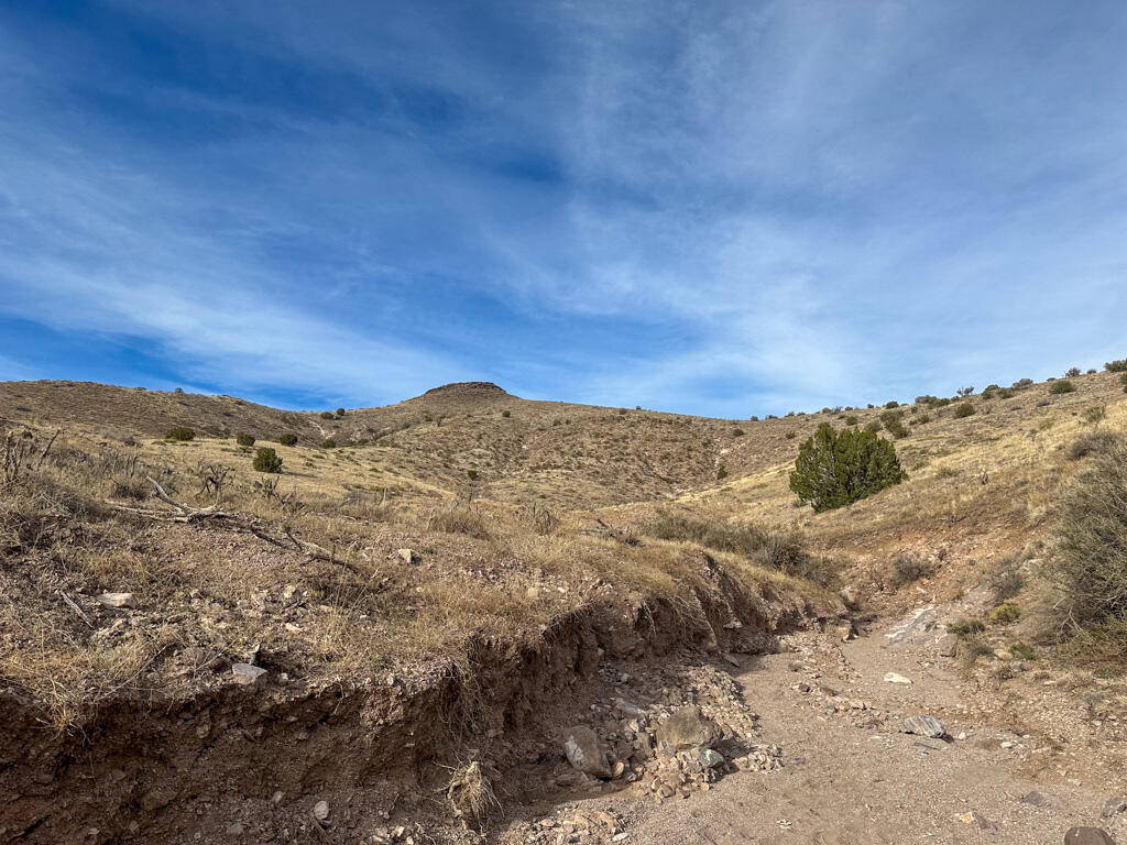 Photo 10 —  Table Mountain Road