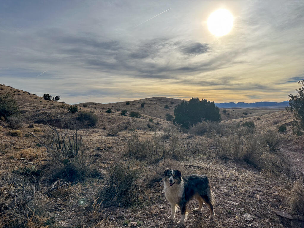 Photo 9 —  Table Mountain Road