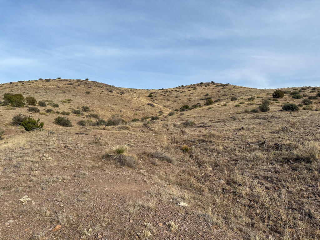 Photo 8 —  Table Mountain Road