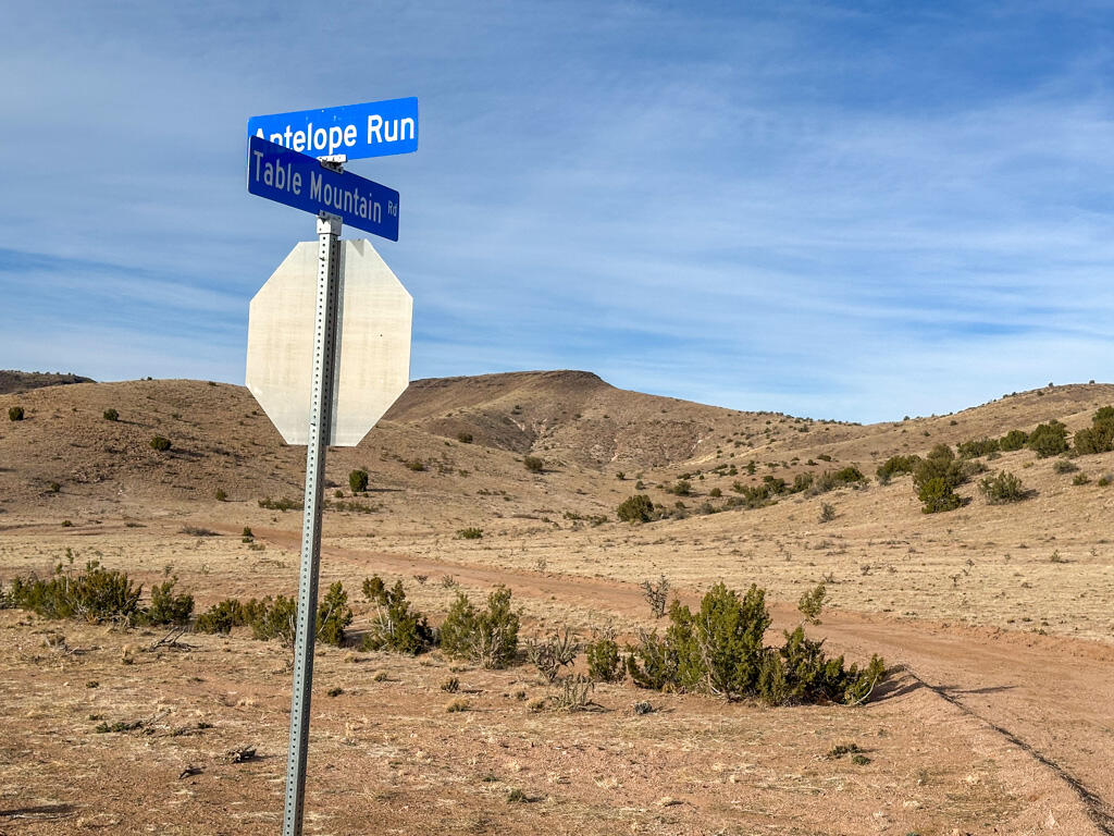 Photo 4 —  Table Mountain Road