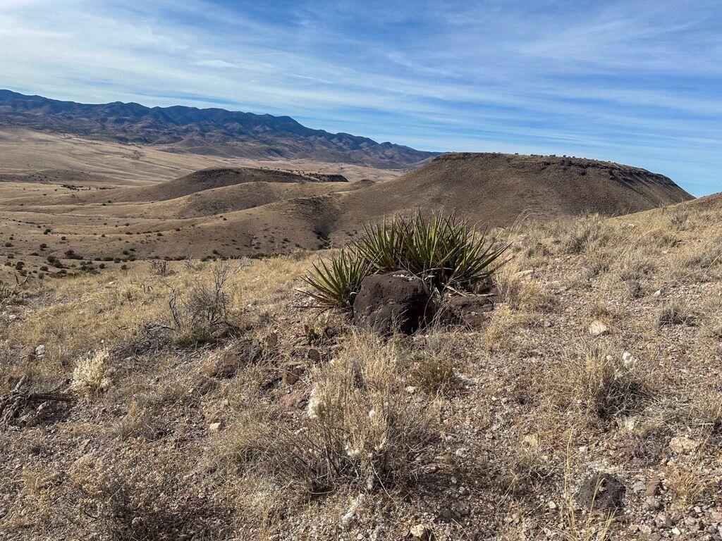 Photo 10 —  Table Mountain Road R004079