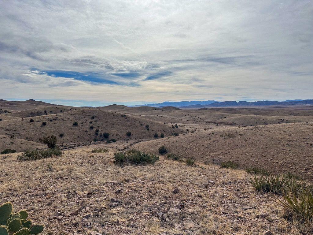 Photo 20 —  Table Mountain Road R004079