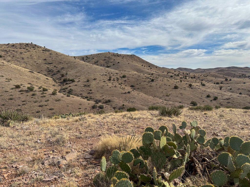 Photo 19 —  Table Mountain Road R004079