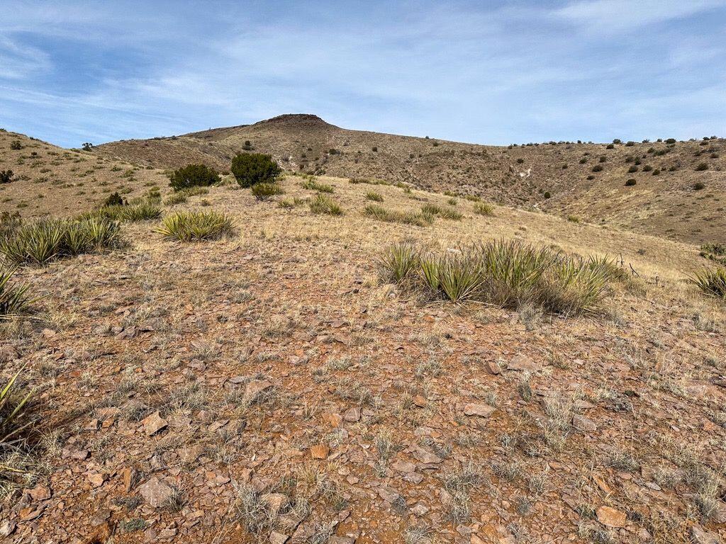 Photo 18 —  Table Mountain Road R004079