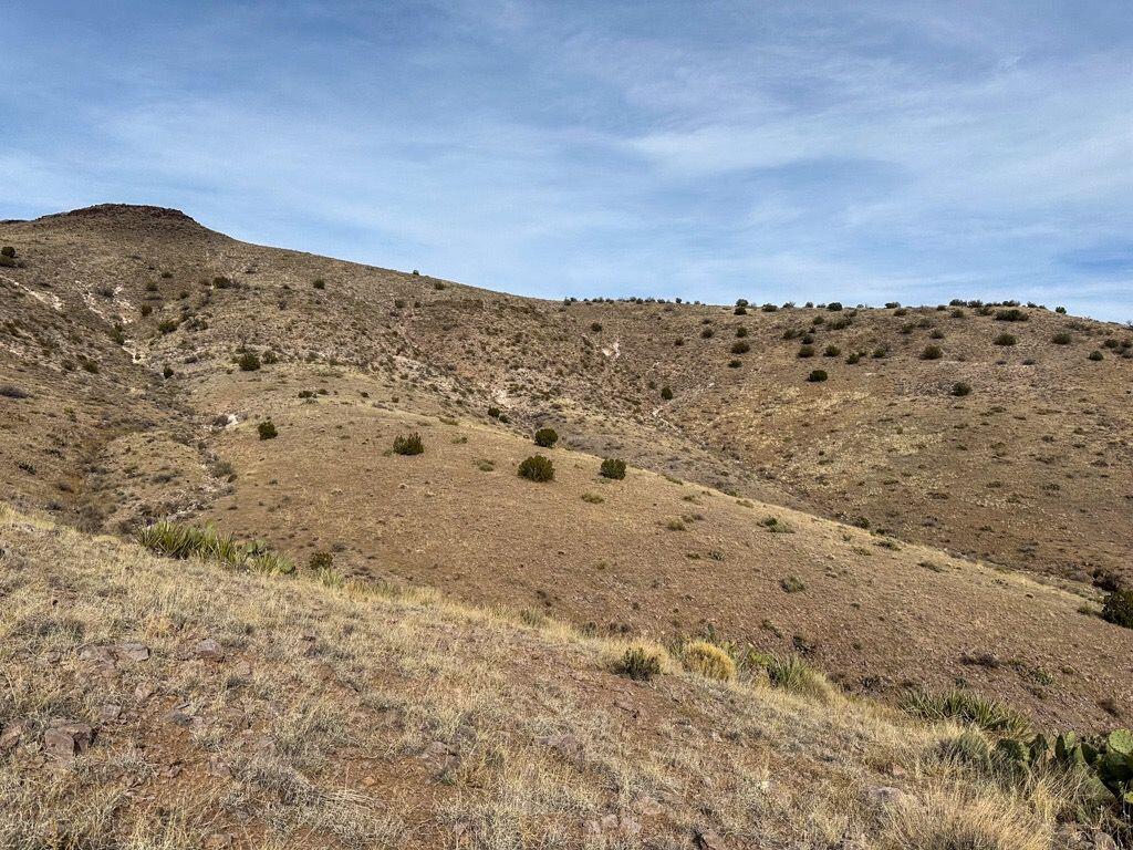 Photo 17 —  Table Mountain Road R004079