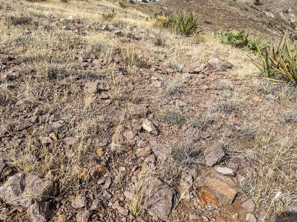 Photo 16 —  Table Mountain Road R004079