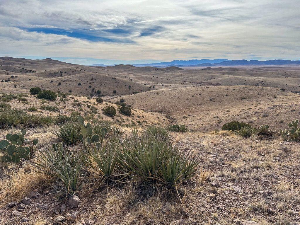 Photo 15 —  Table Mountain Road R004079
